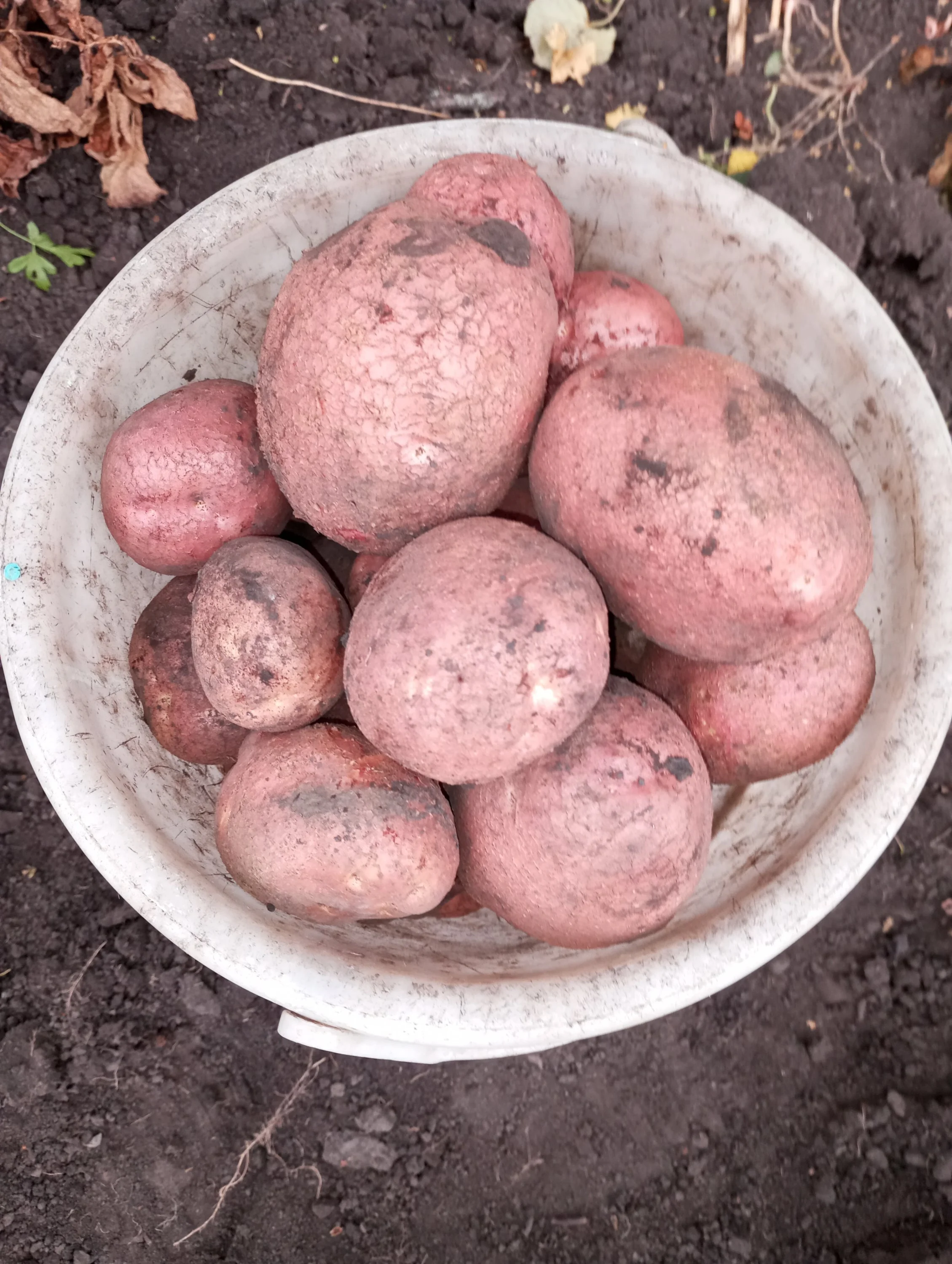 2024-08-23 08-53-08.webp