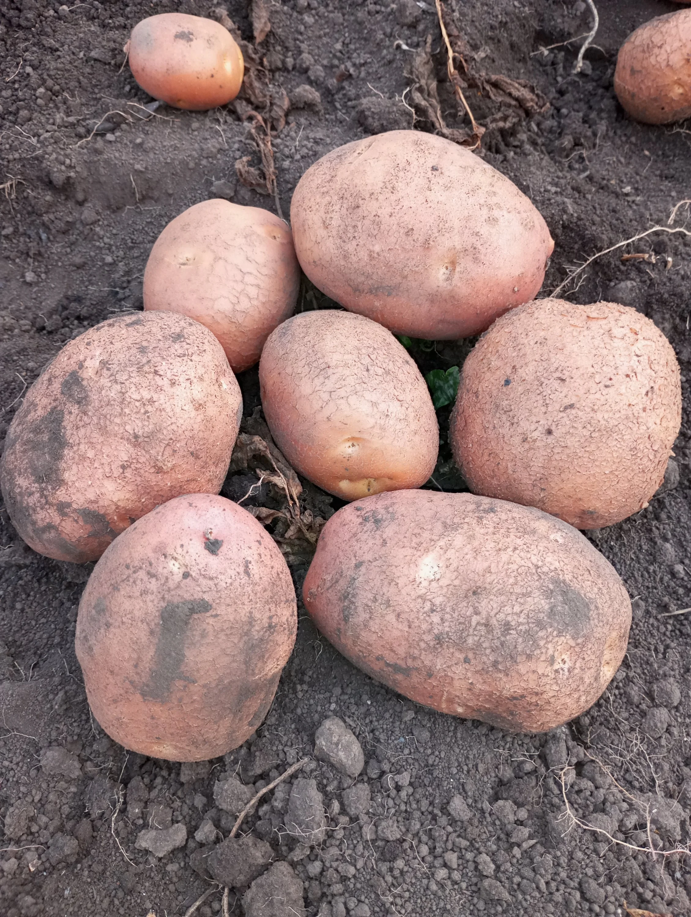 2024-08-23 18-03-22.webp