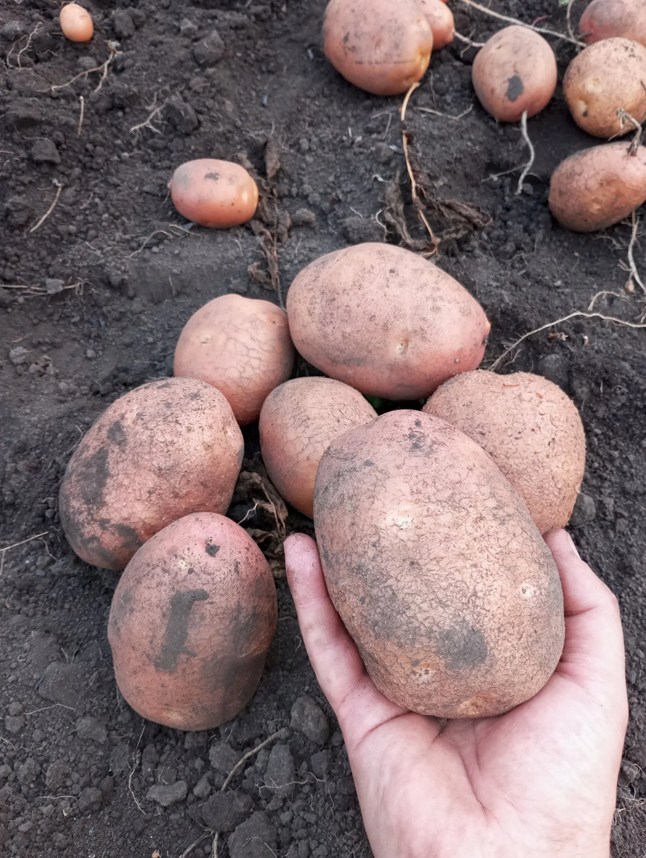 2024-08-23 18-03-35.webp