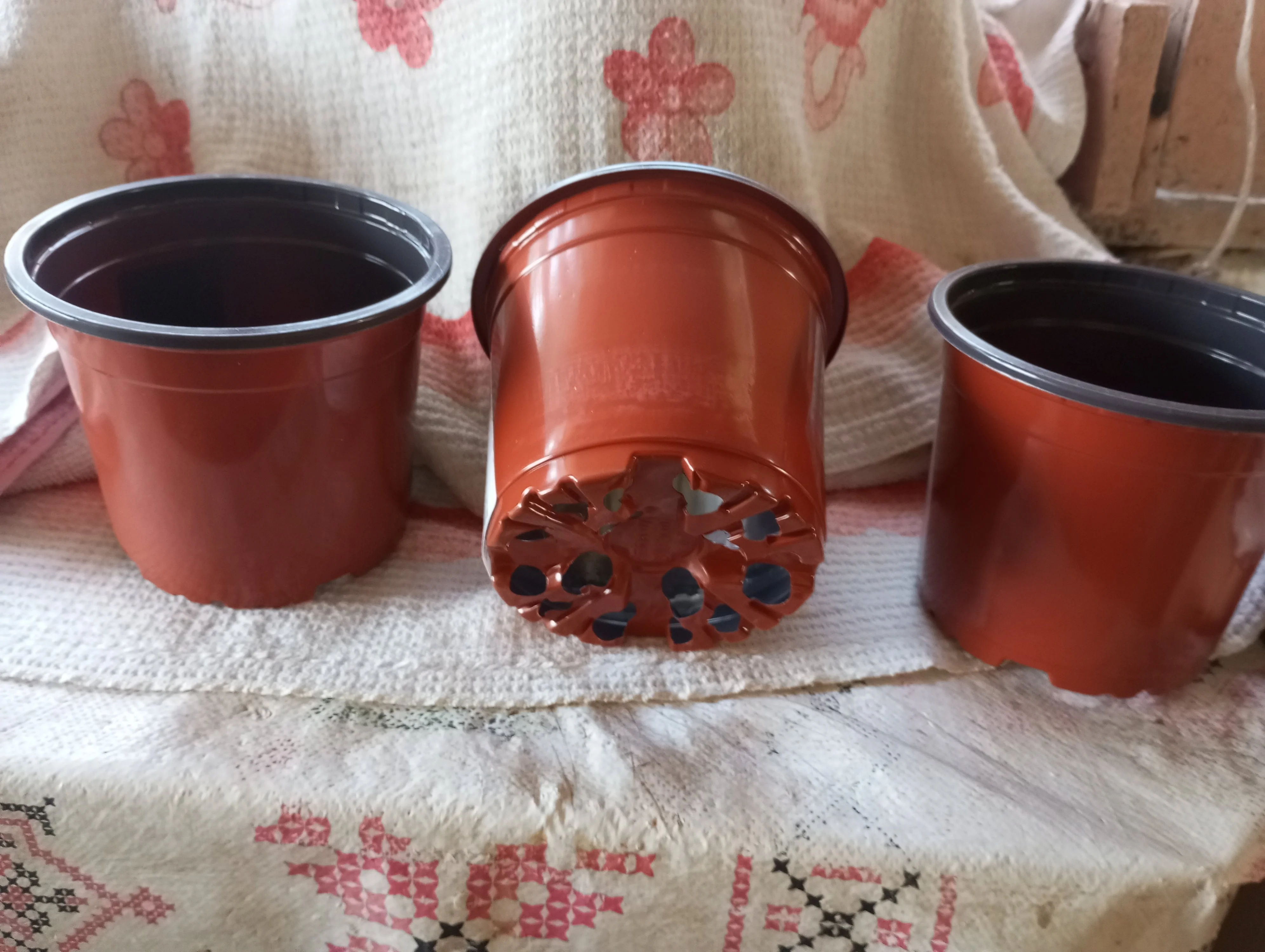 2024-08-24 07-14-07.webp