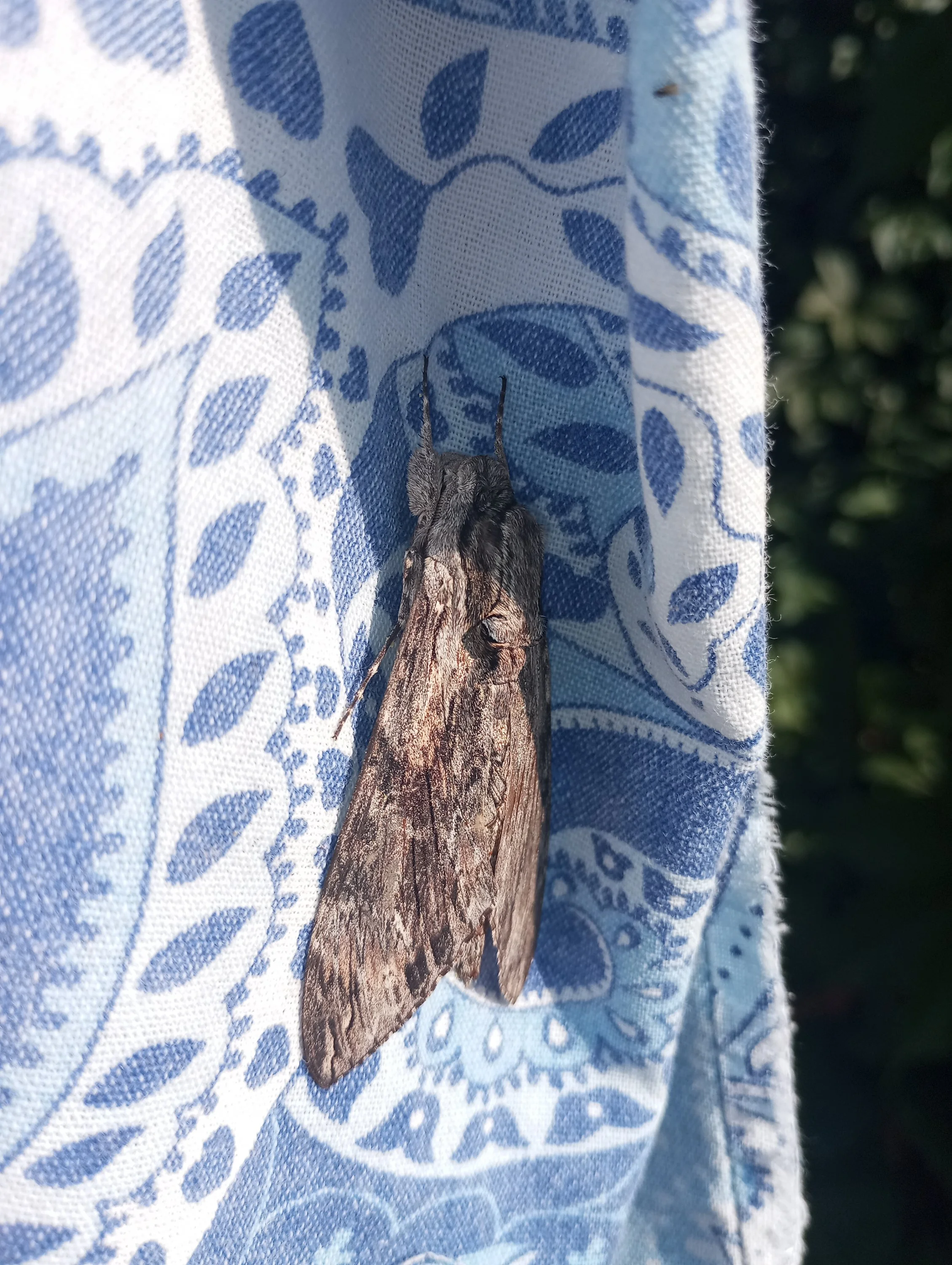 2024-08-24 08-37-25.webp