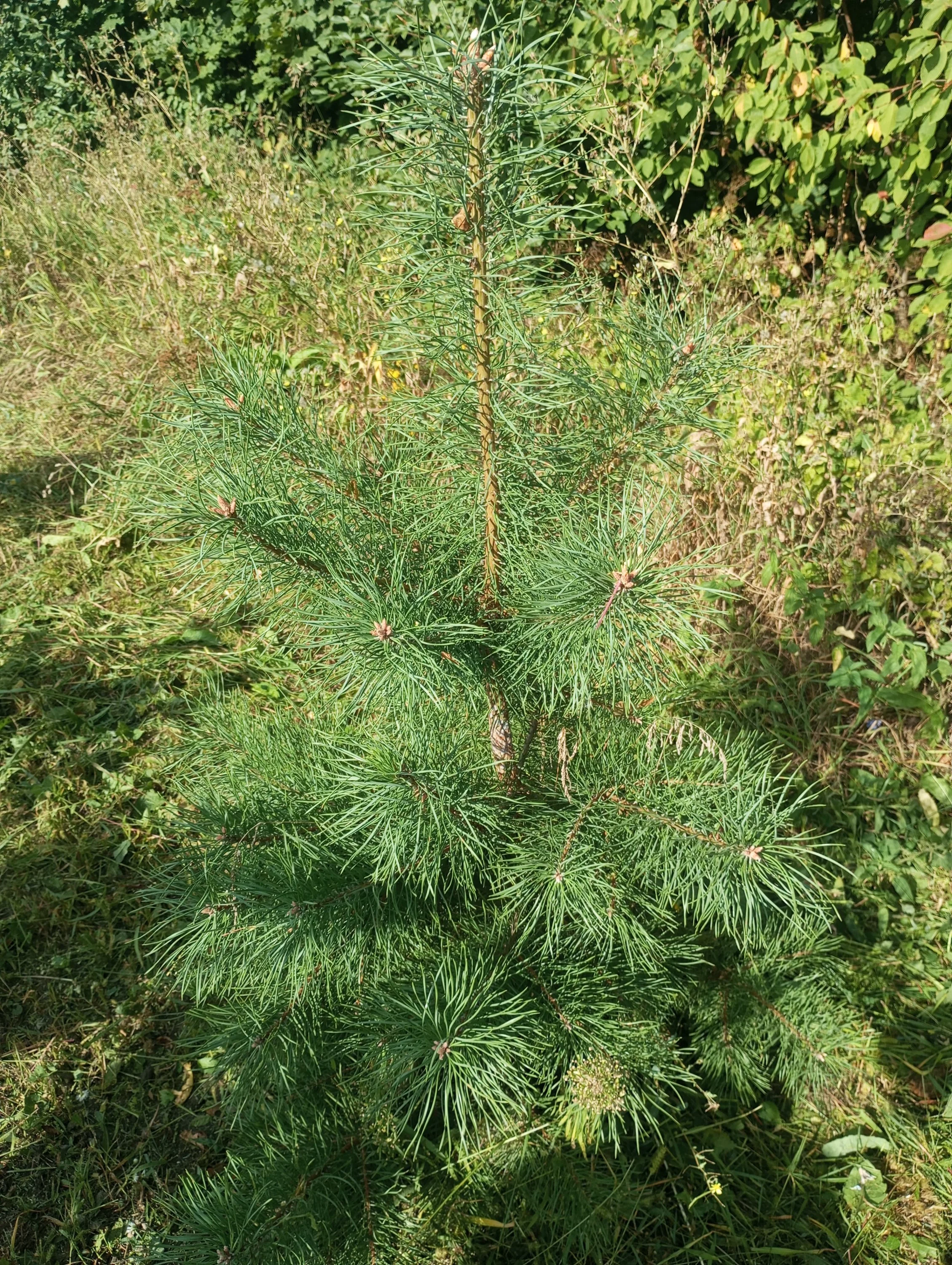 2024-08-24 09-13-30.webp