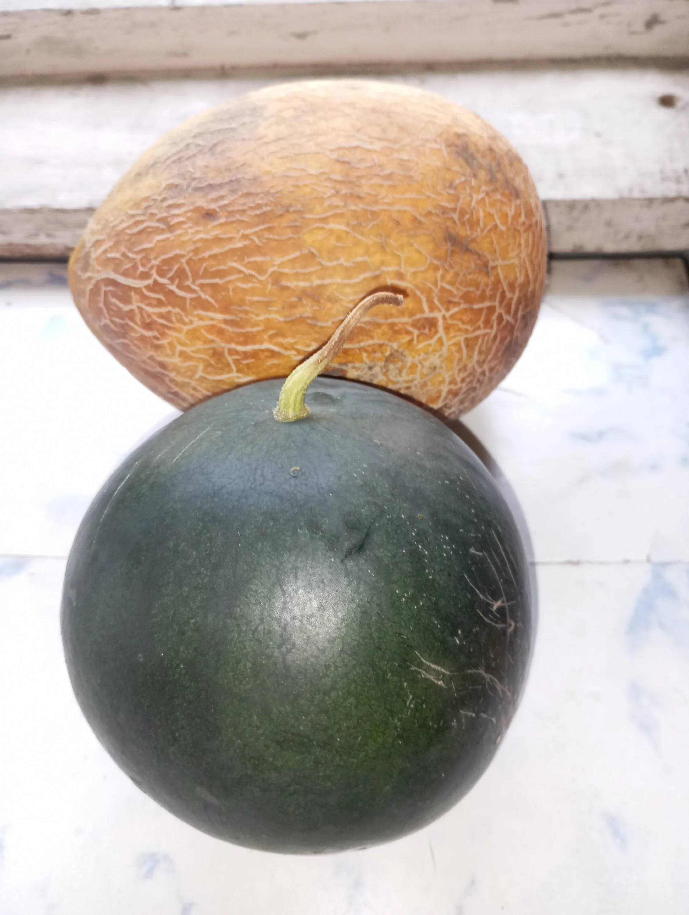 2024-08-24 09-47-47.webp