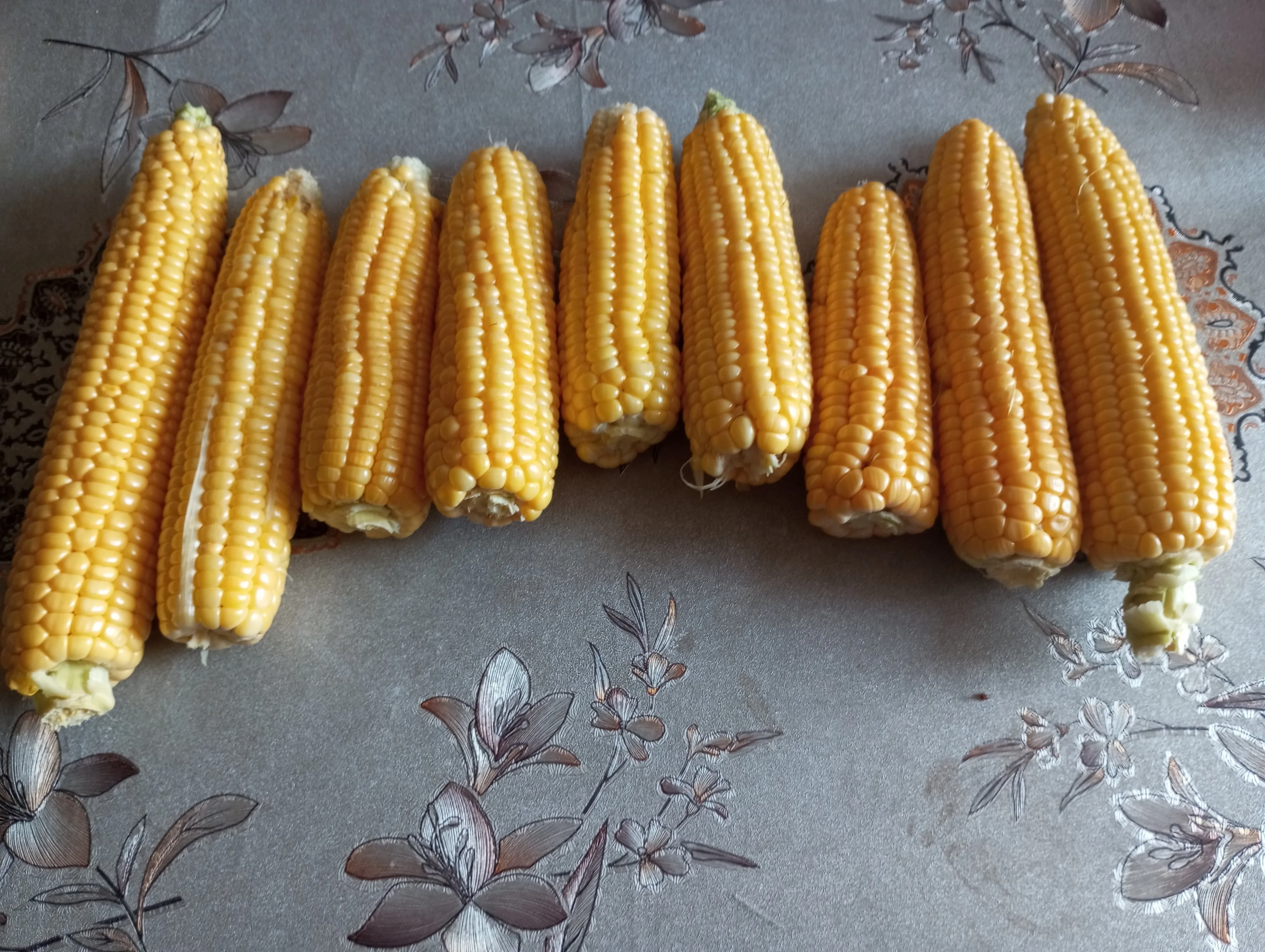 2024-08-25 13-36-29.webp