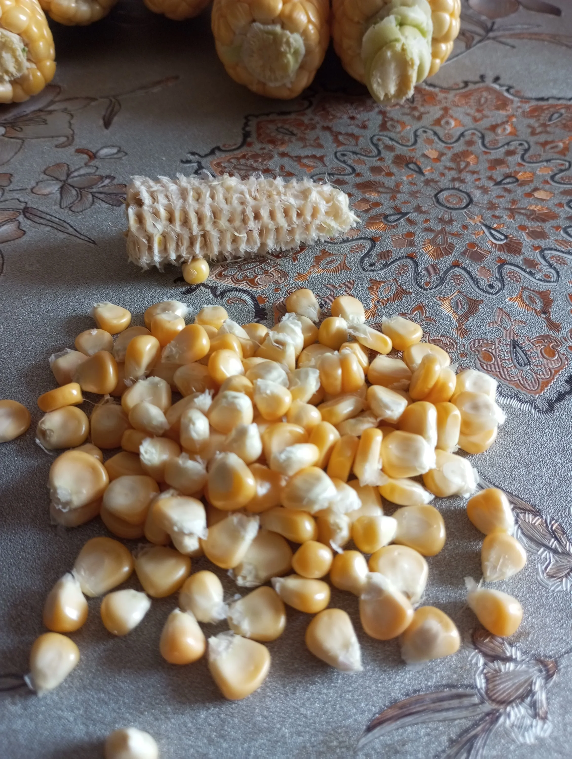 2024-08-25 13-40-58.webp