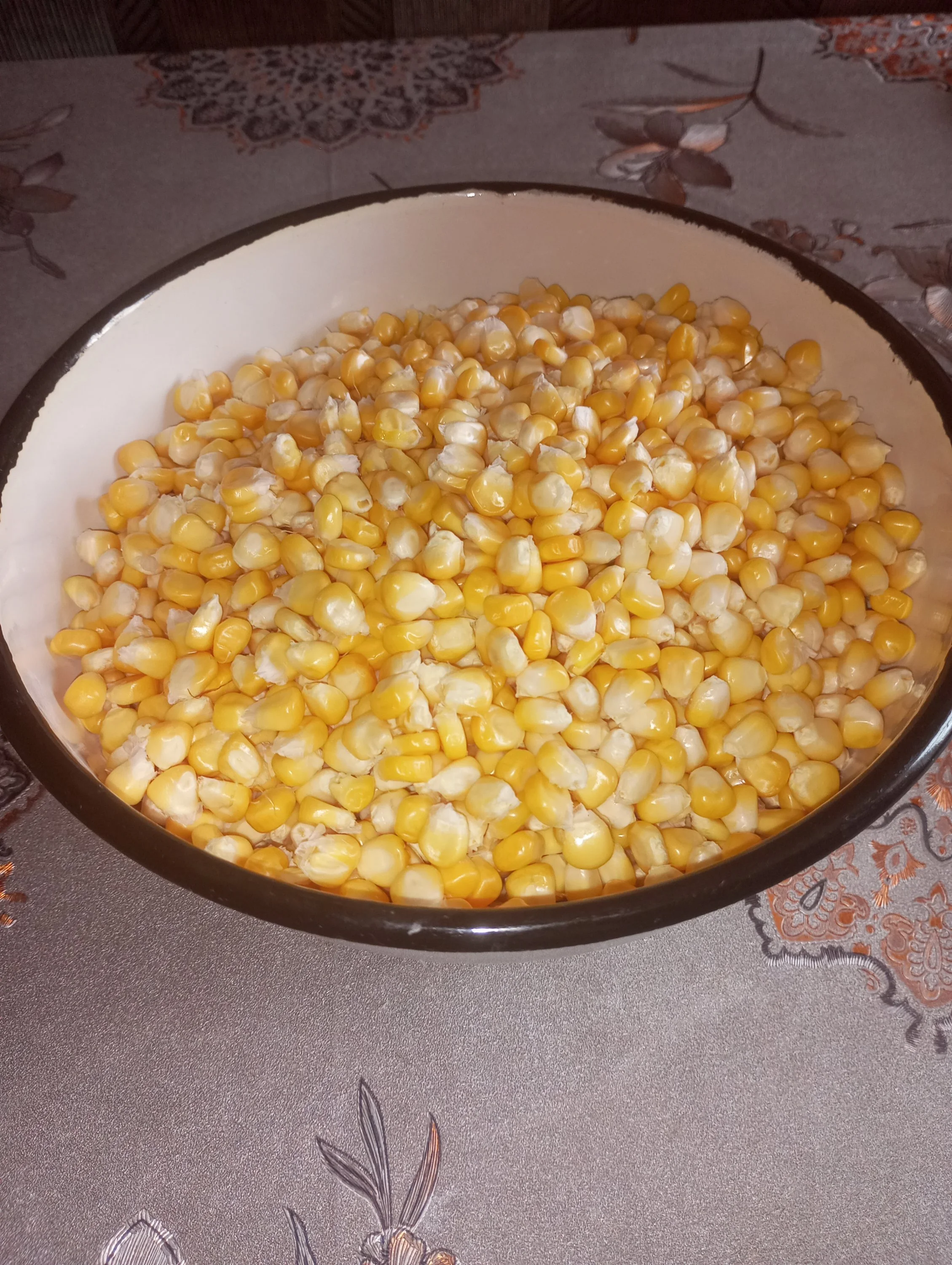 2024-08-25 15-09-39.webp