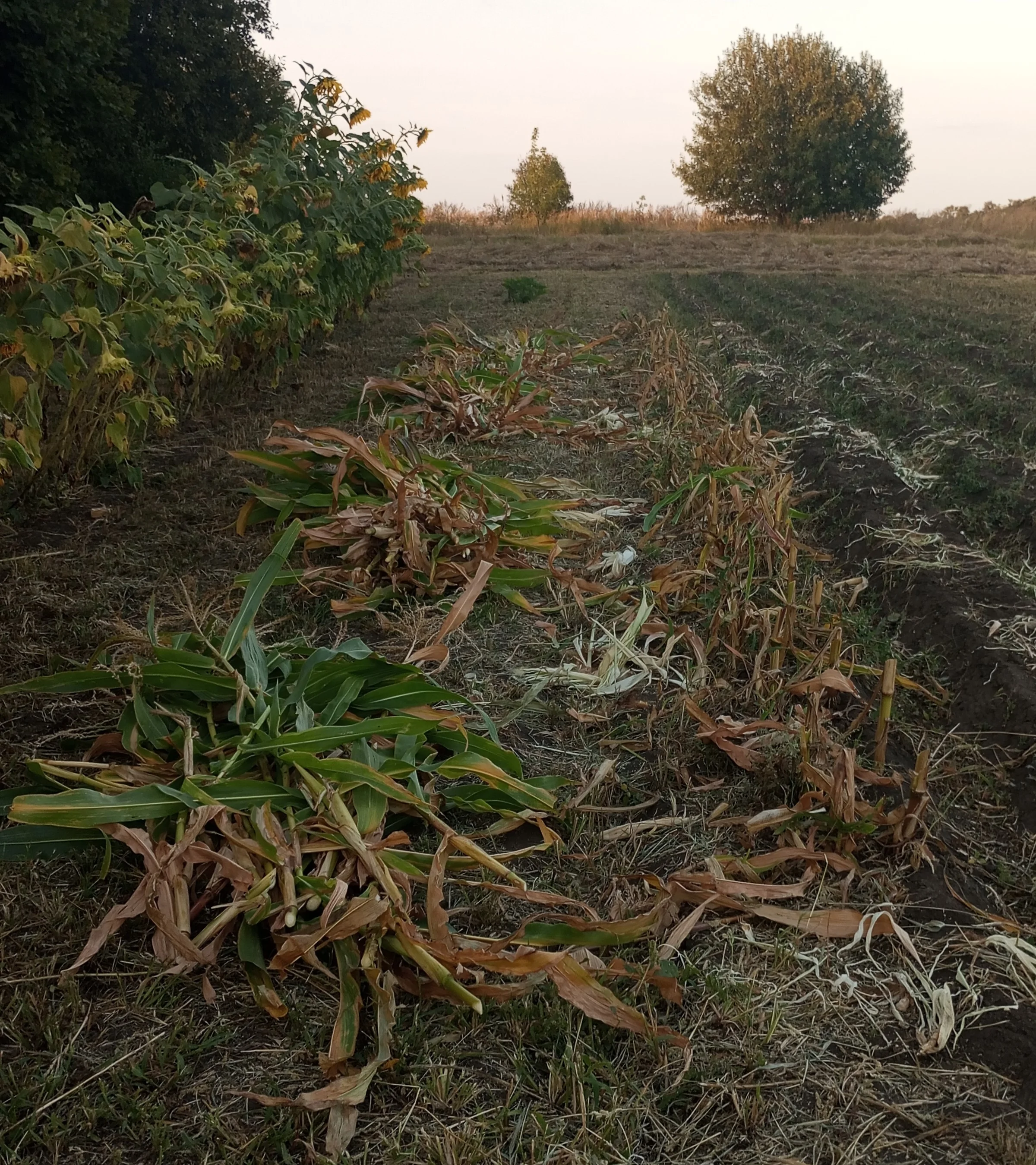 2024-08-27 18-55-55.webp