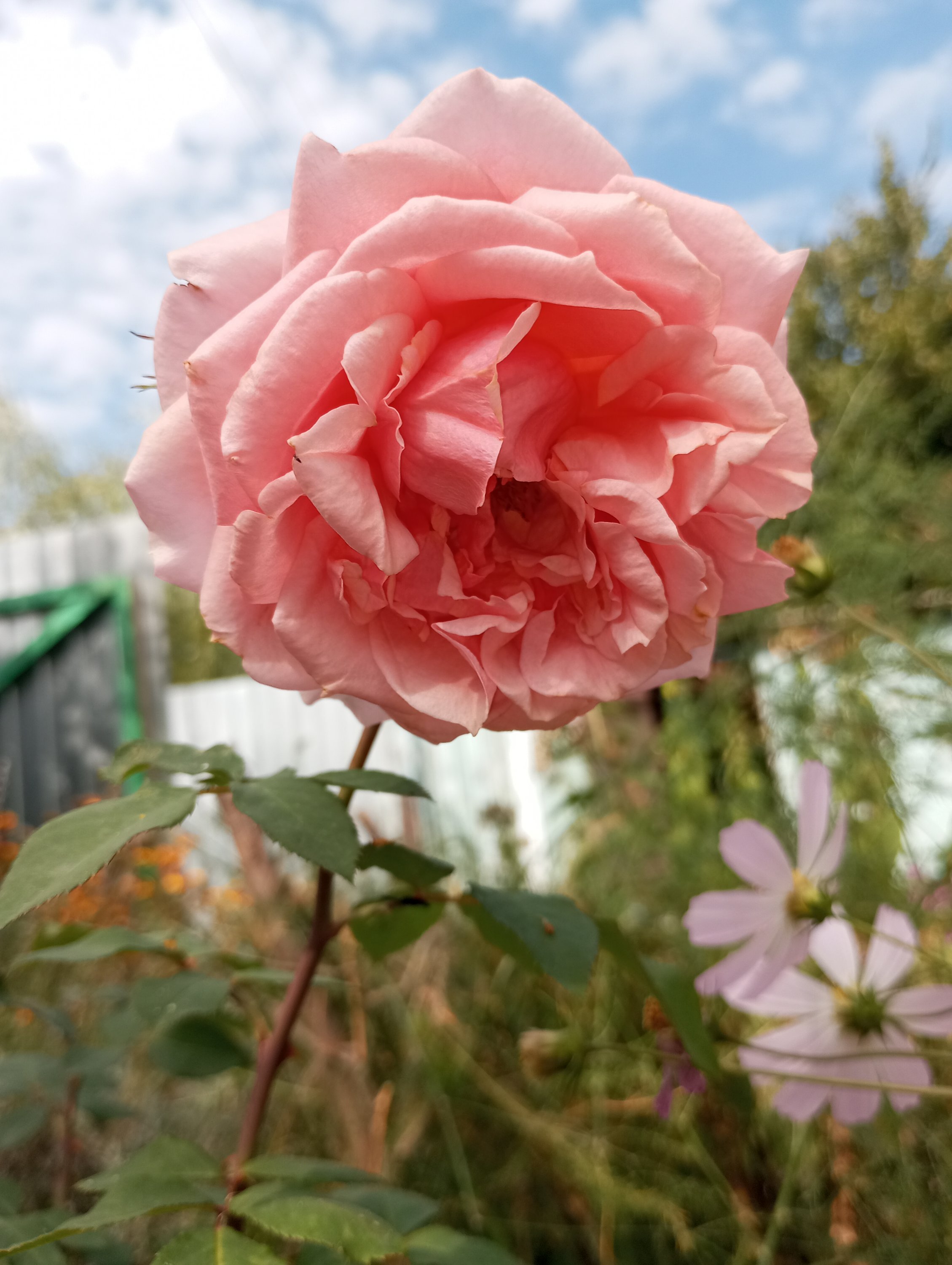 2024-08-28 10-49-43.JPG