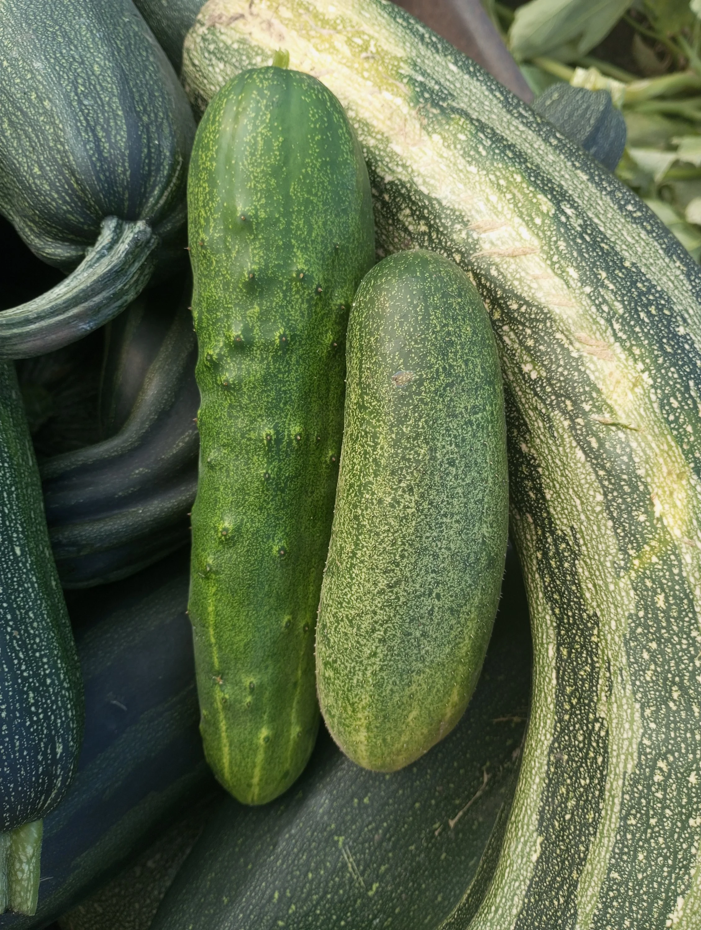 2024-08-29 18-19-20.JPG