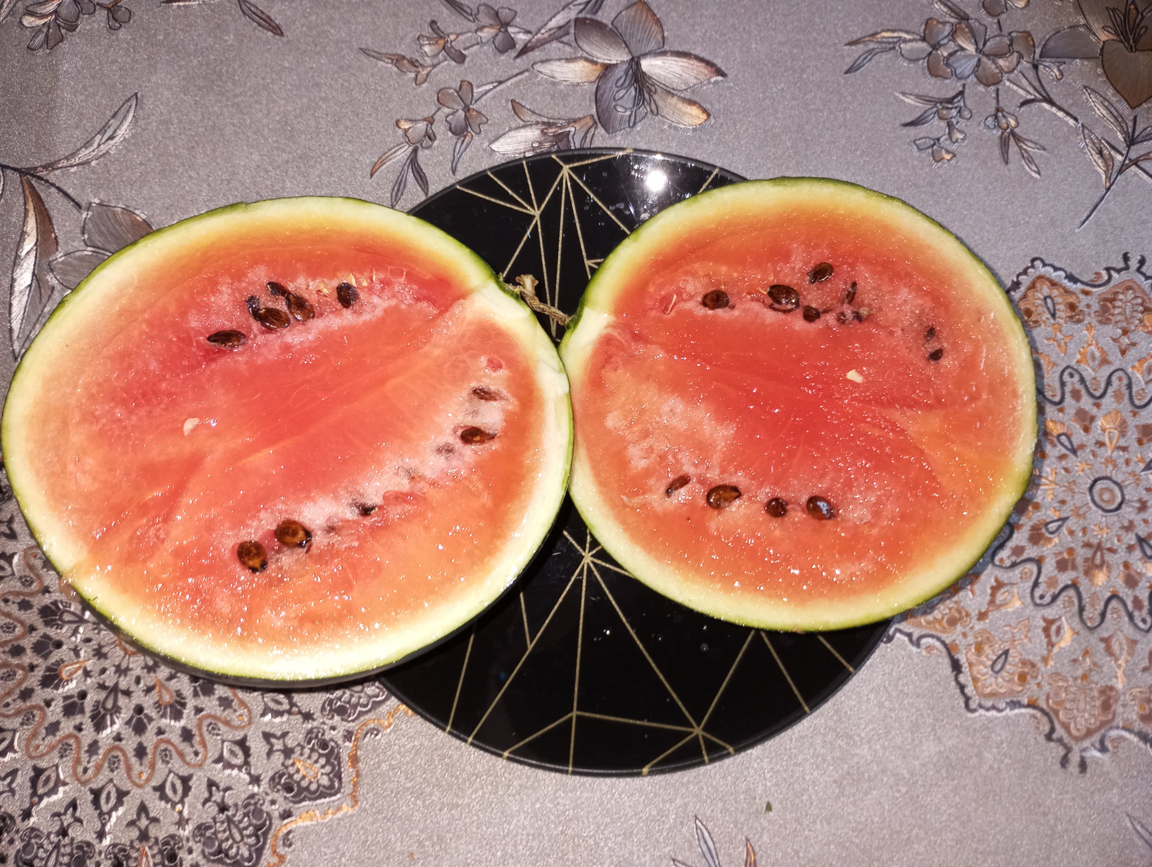 2024-08-31 09-30-58.JPG