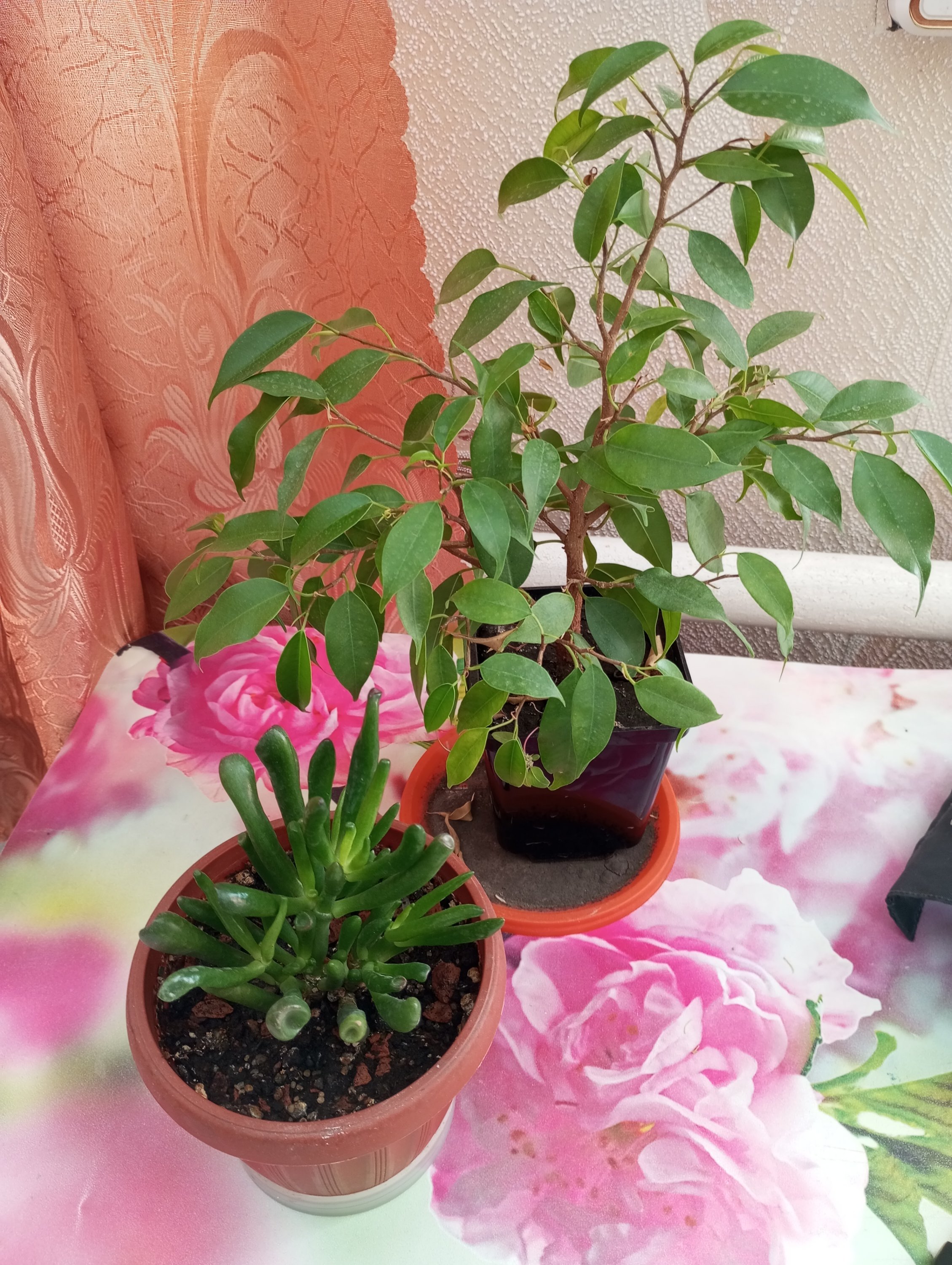 2024-09-05 13-49-49.JPG