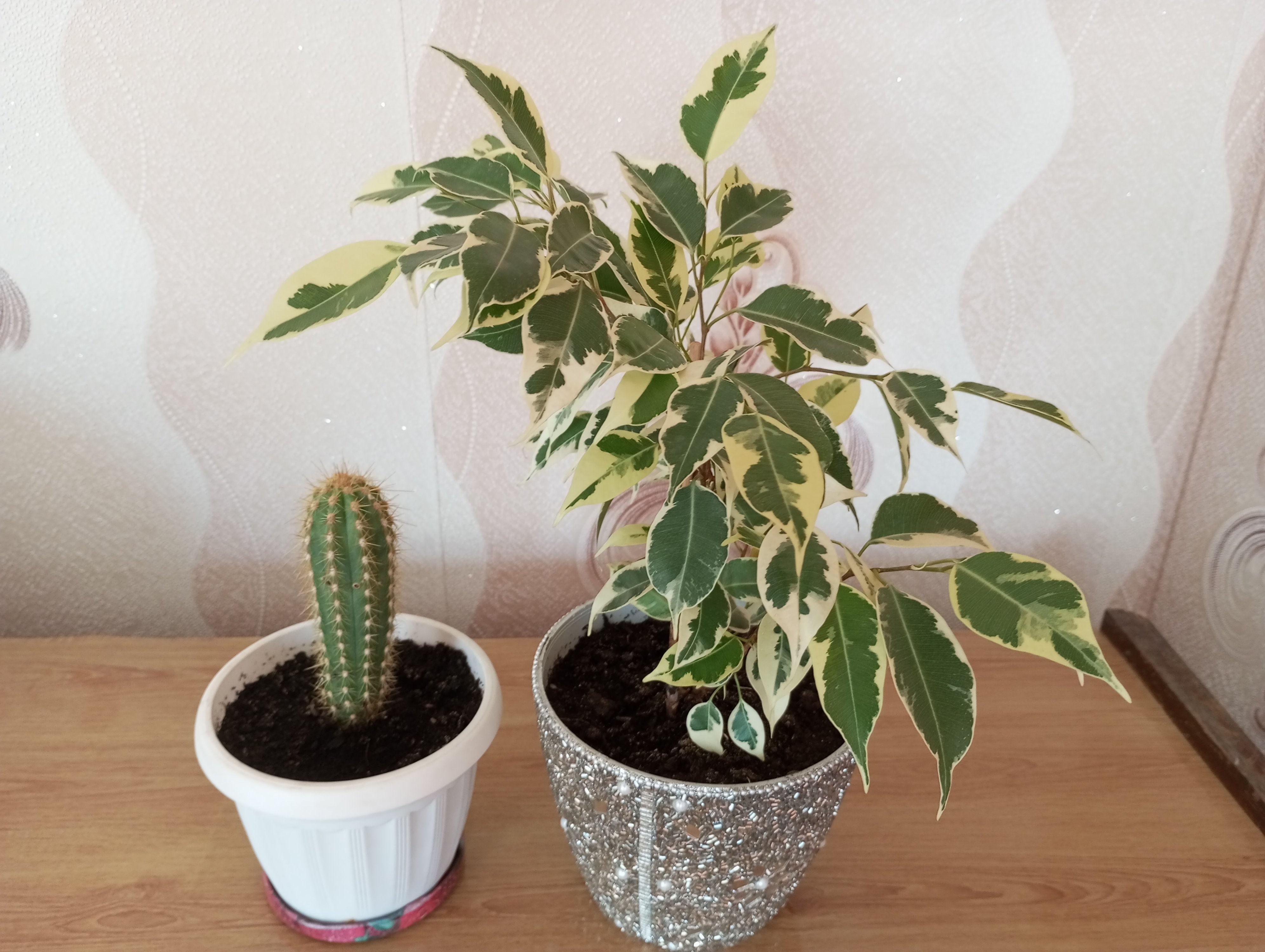 2024-09-05 13-50-00.JPG