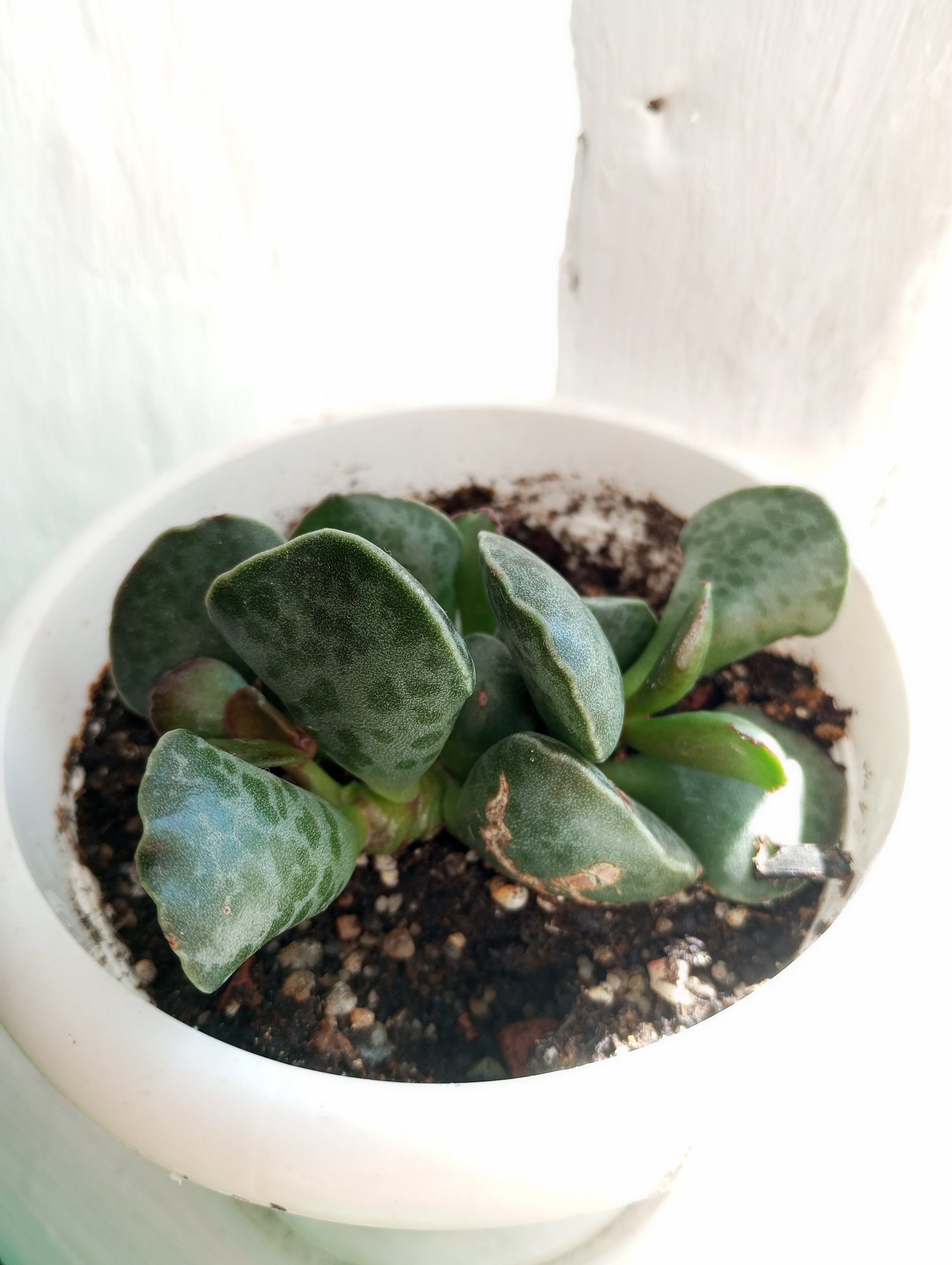 2024-09-05 14-20-53.JPG