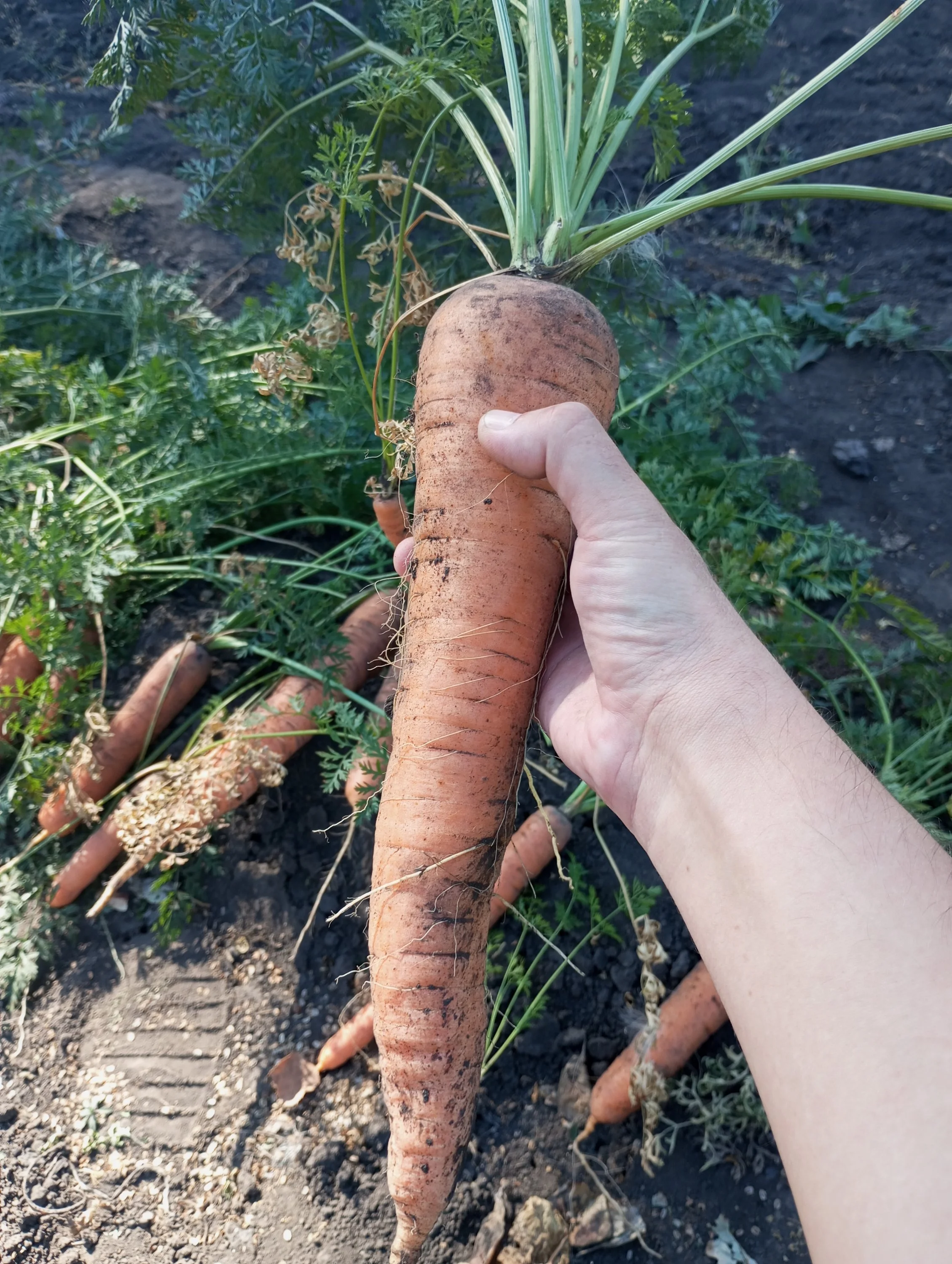 2024-09-08 10-34-52.webp