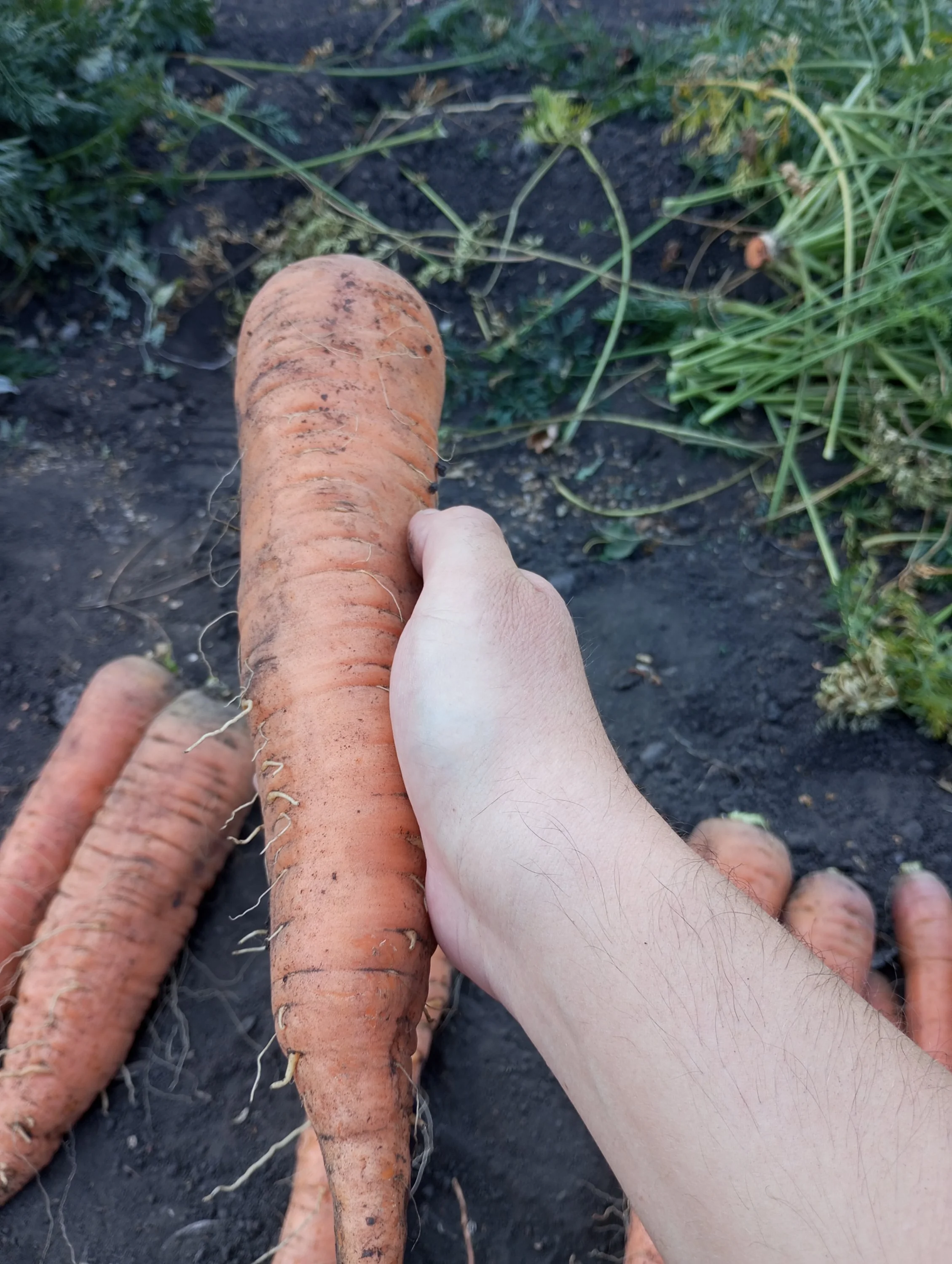 2024-09-08 11-14-14.webp