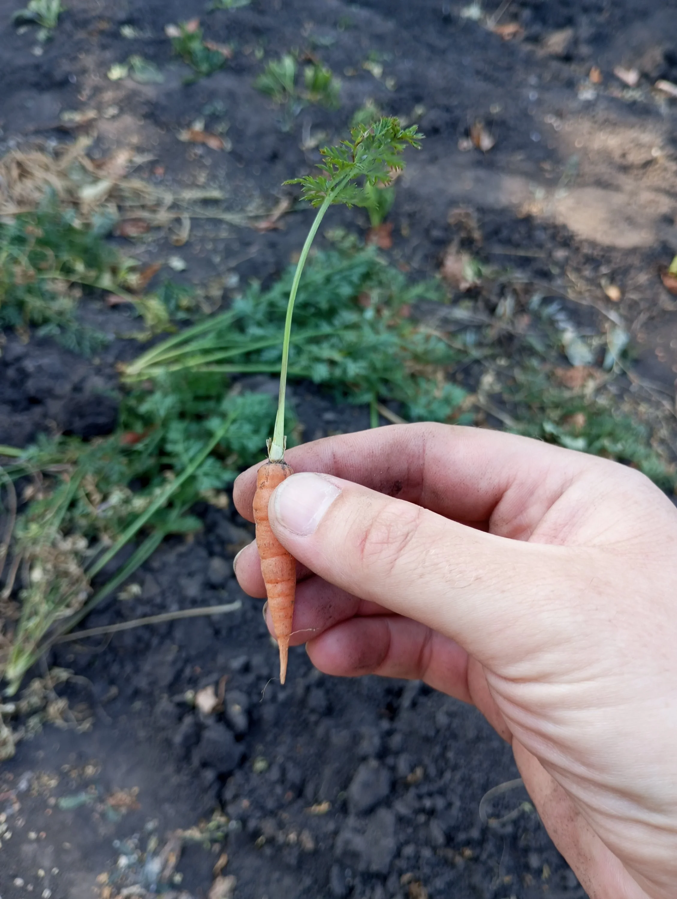 2024-09-08 11-14-34.webp