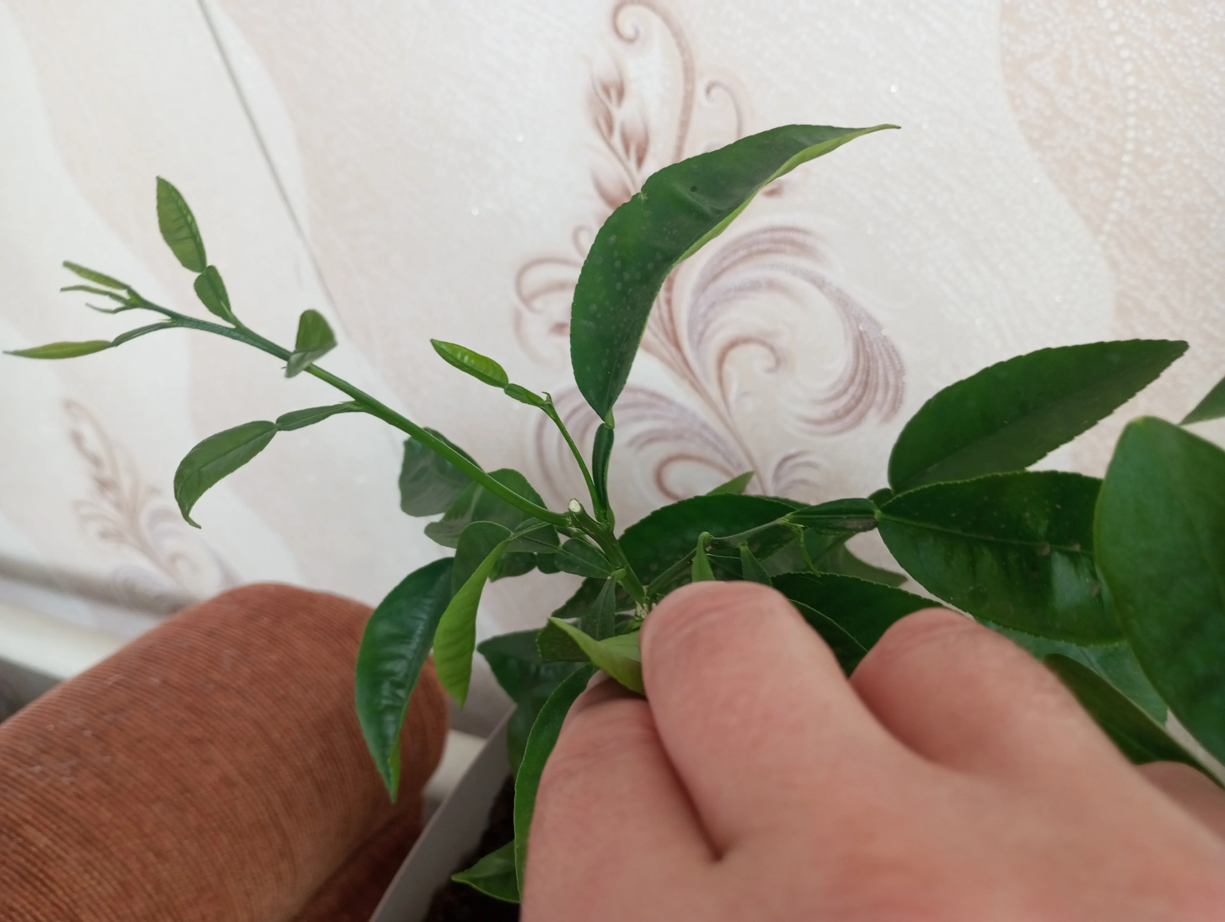 2024-09-26 11-31-04.webp