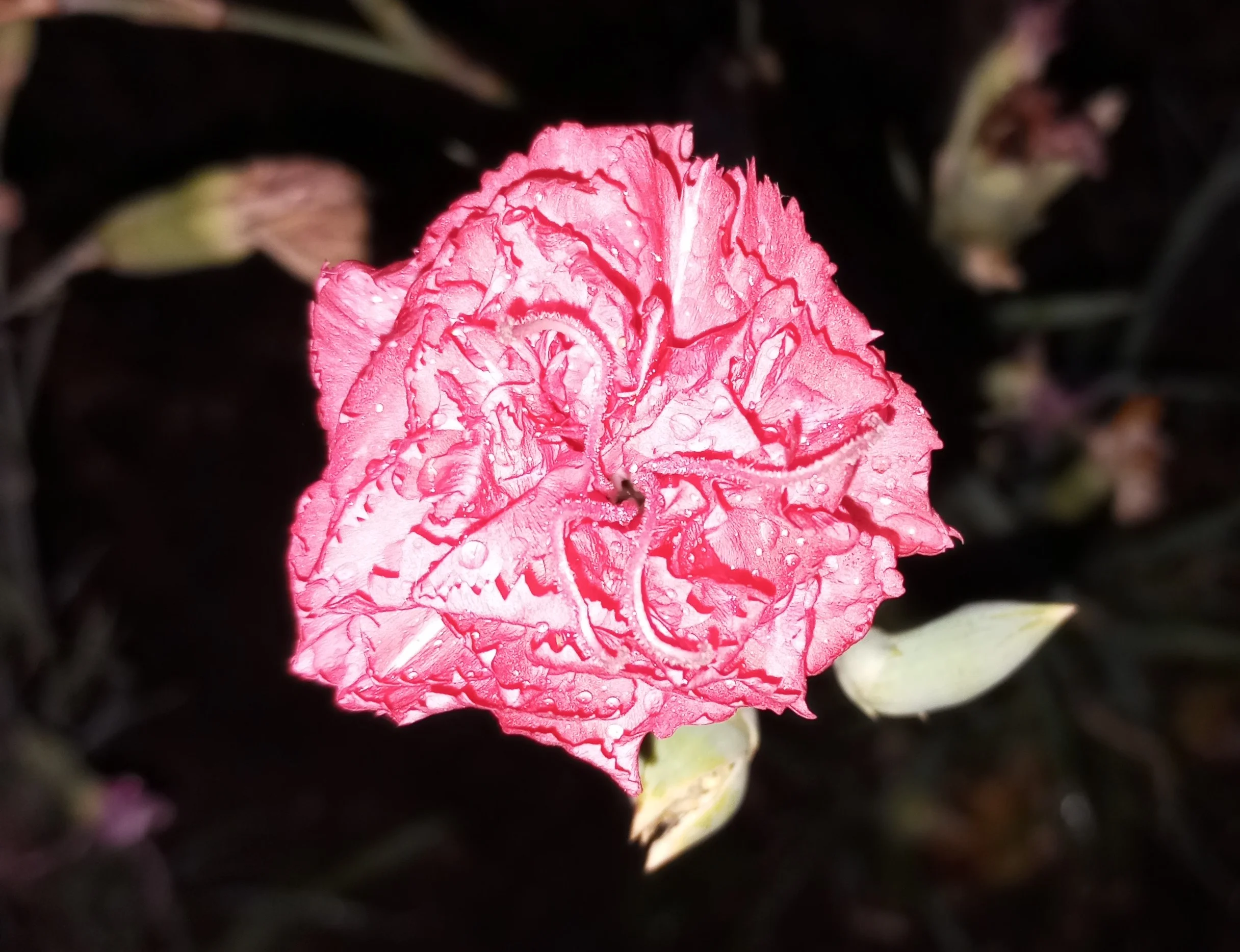 2024-10-04 18-04-49.JPG