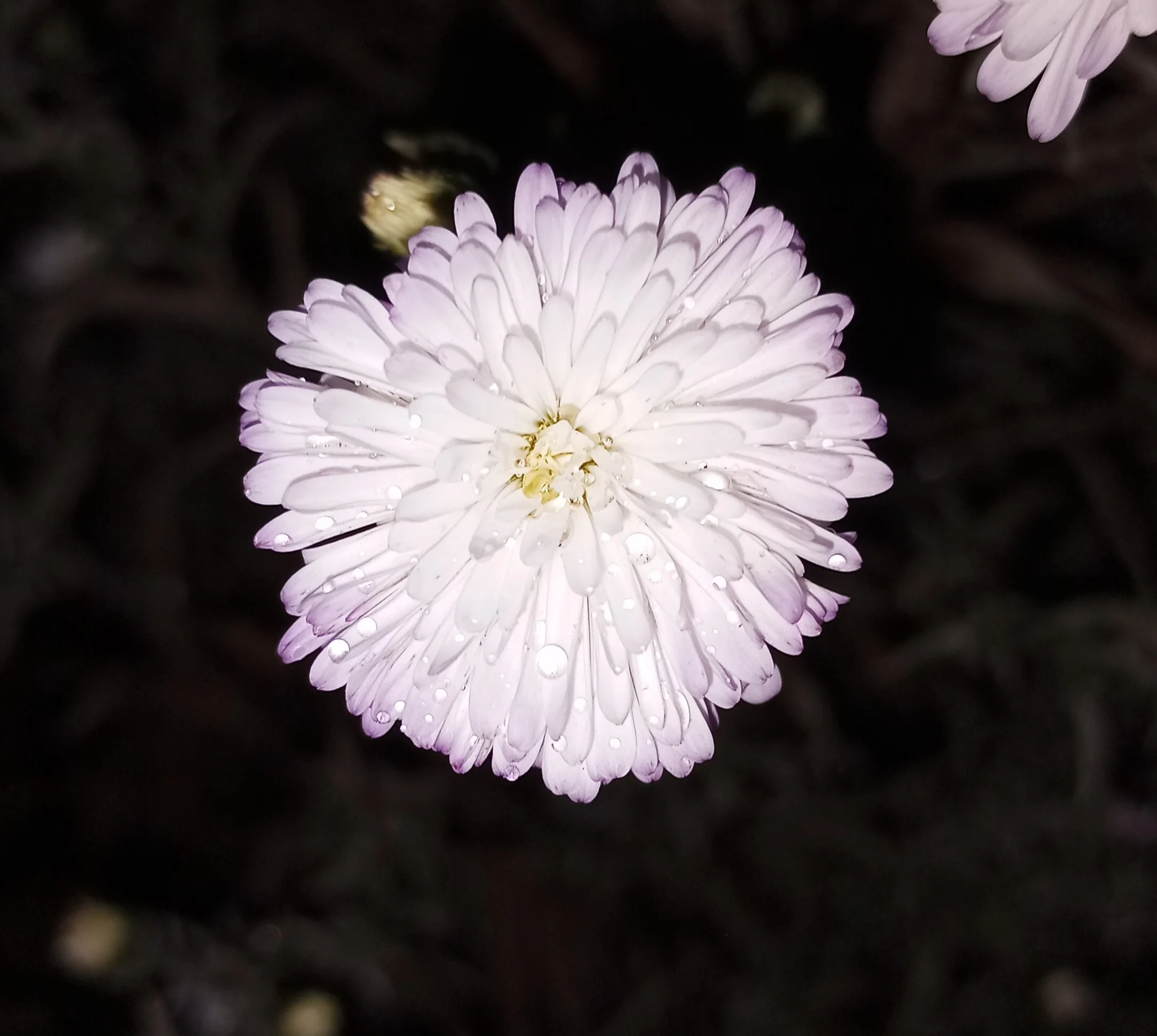 2024-10-04 18-05-06.JPG