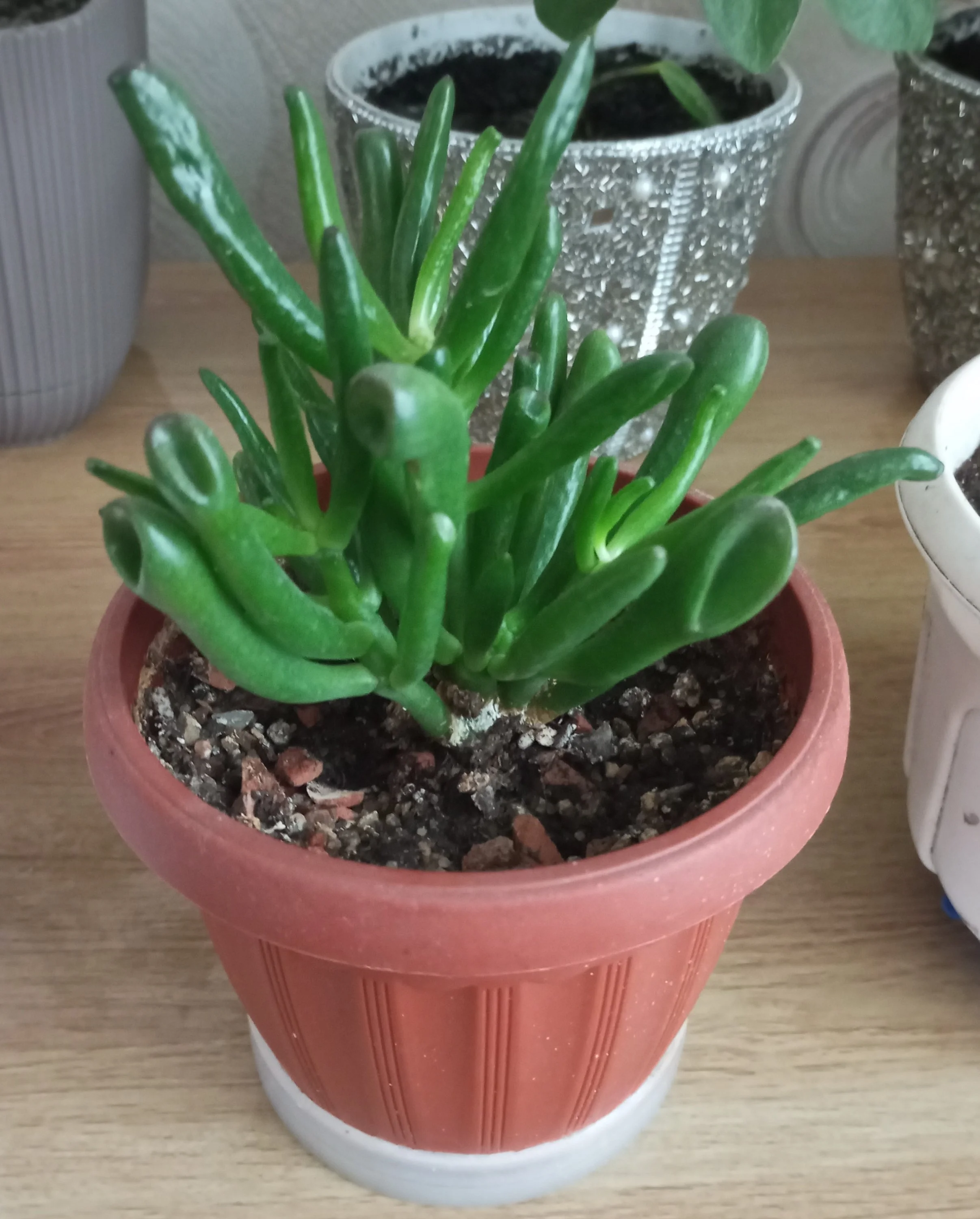 2024-10-06 10-33-26.webp