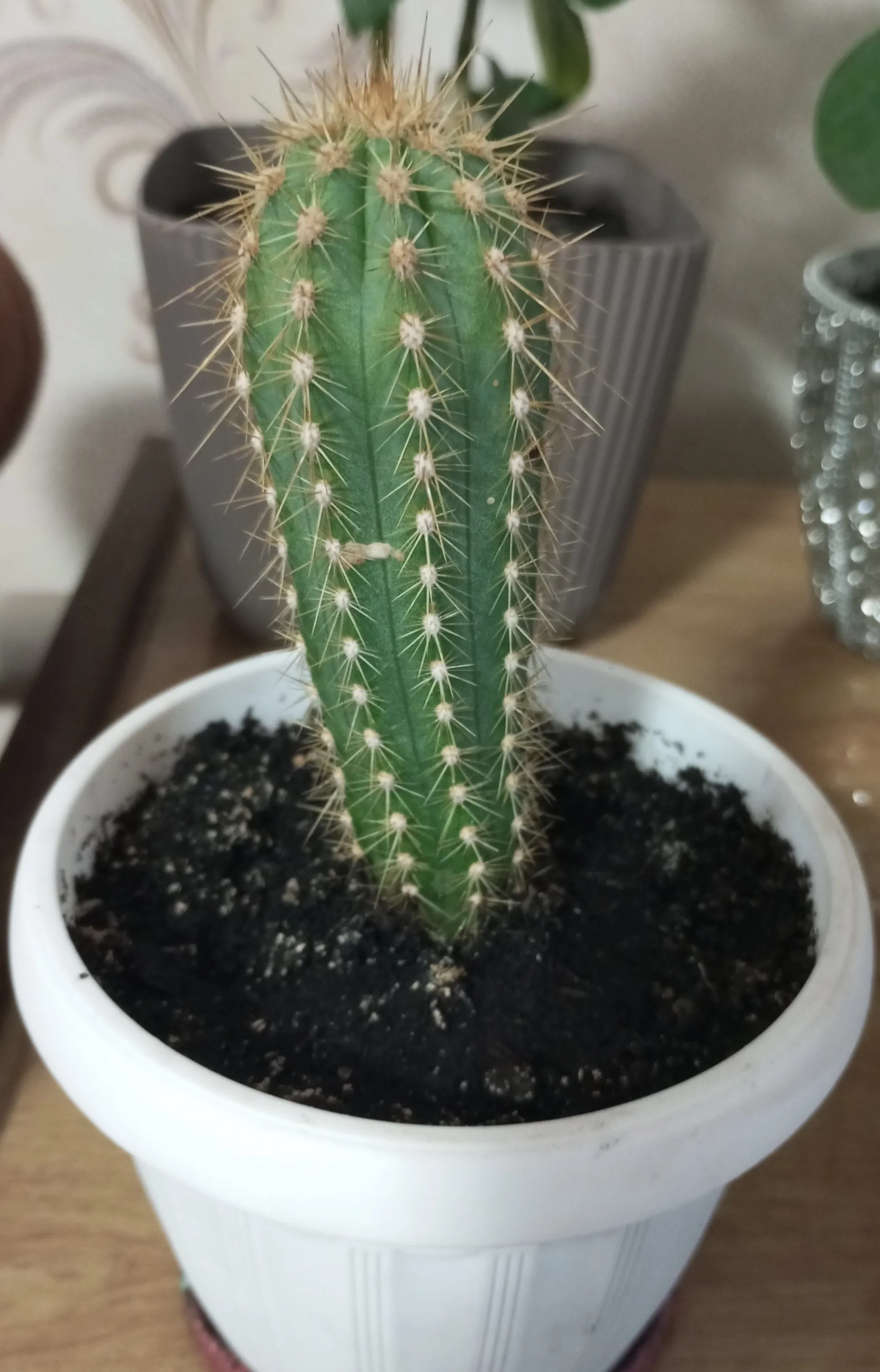 2024-10-10 17-44-13.webp