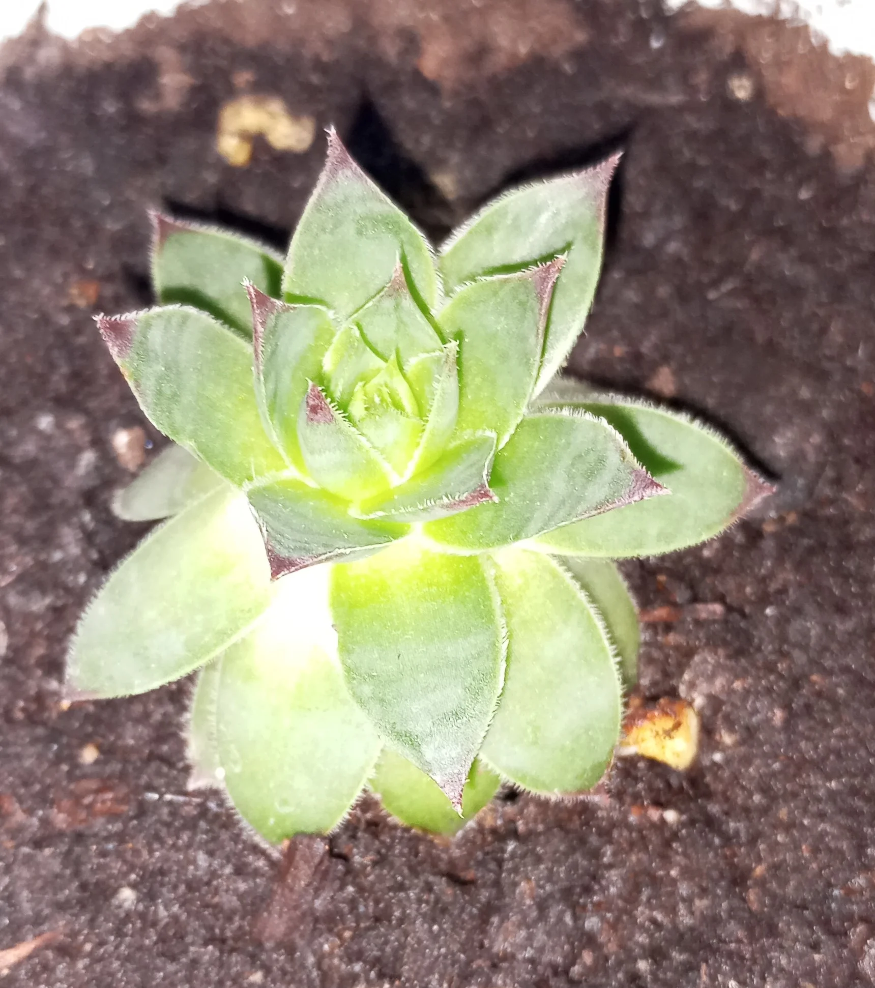 2024-10-10 17-44-31.webp