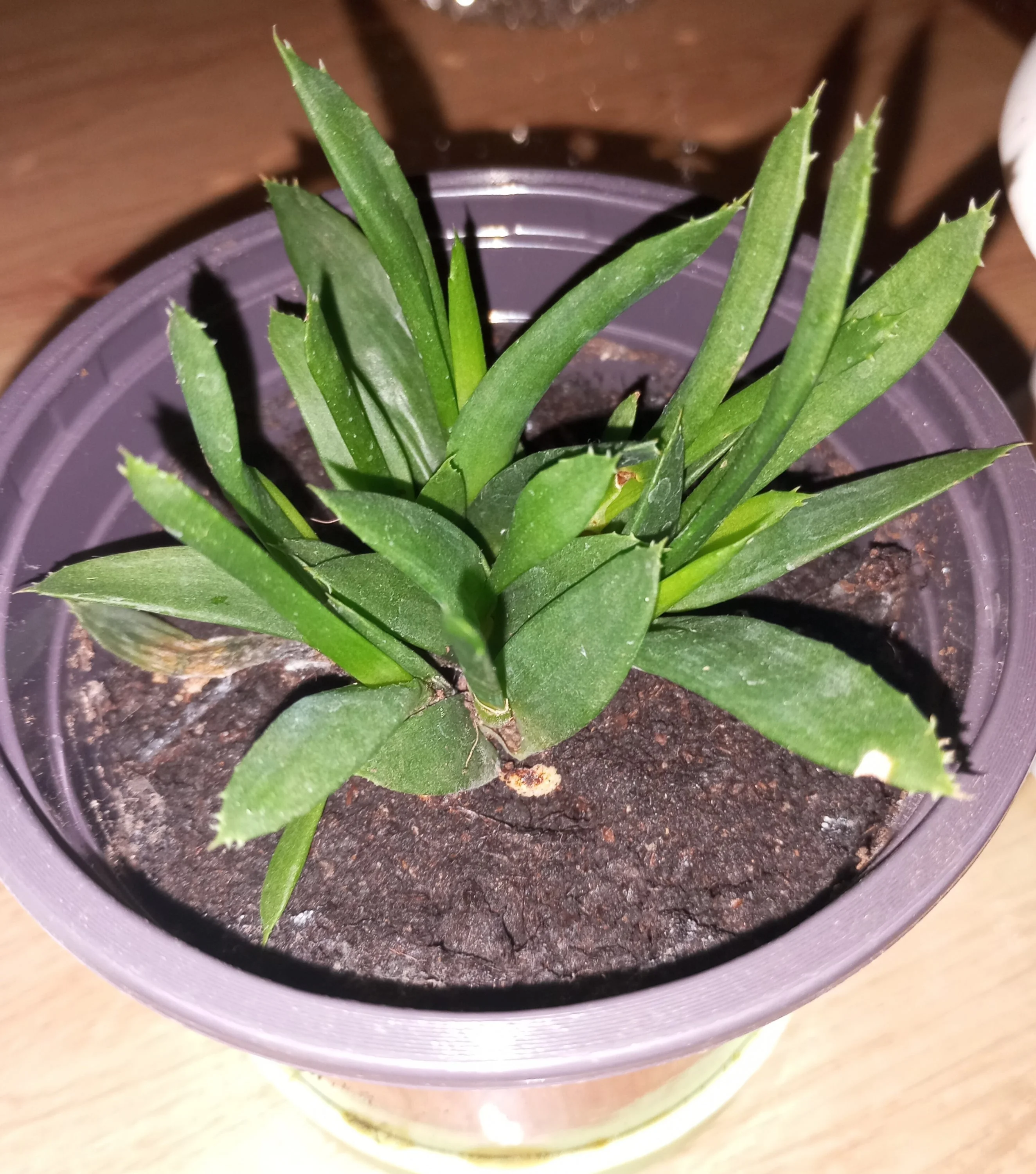 2024-10-10 17-44-46.webp