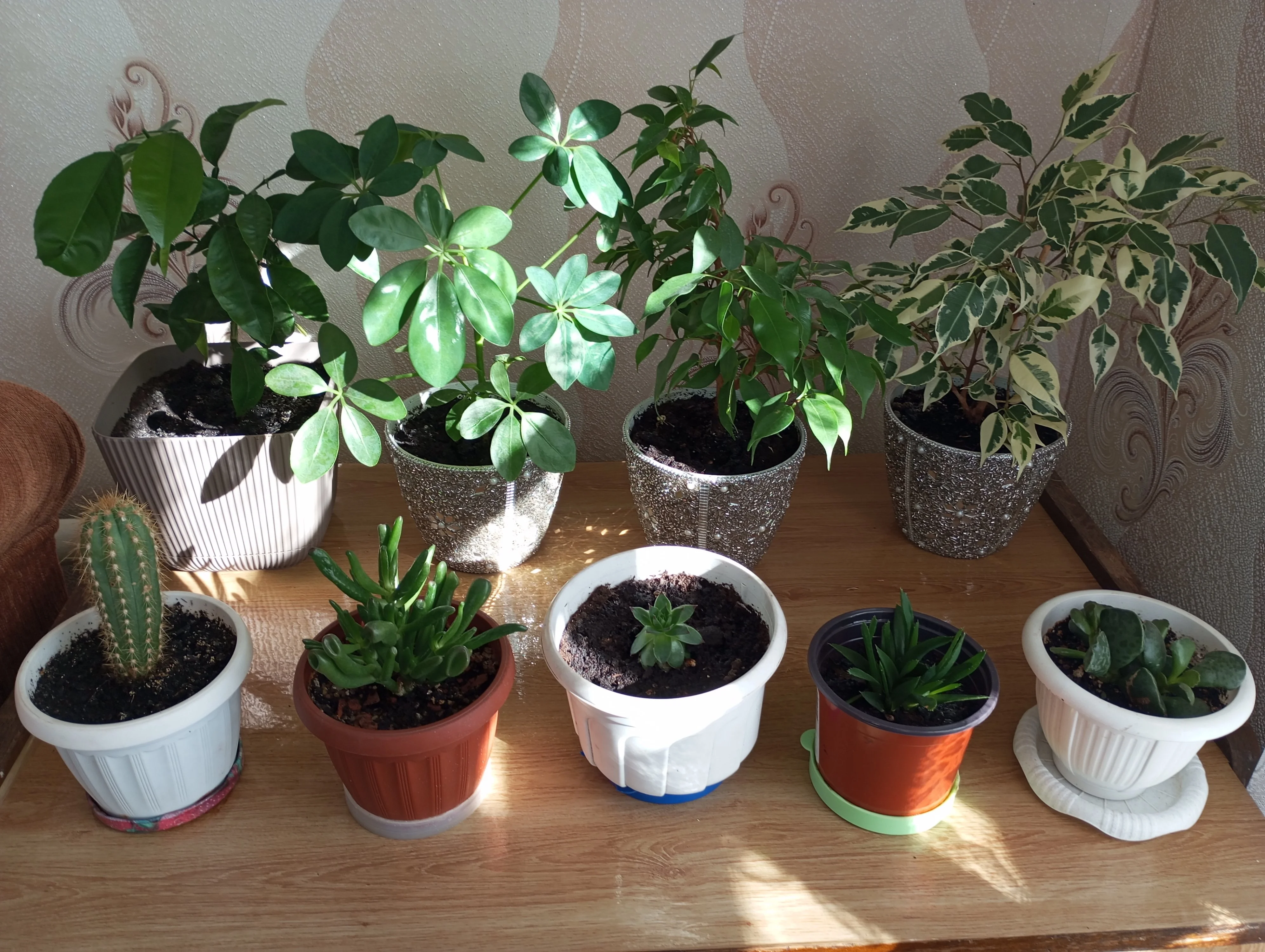 2024-10-17 11-46-57.webp