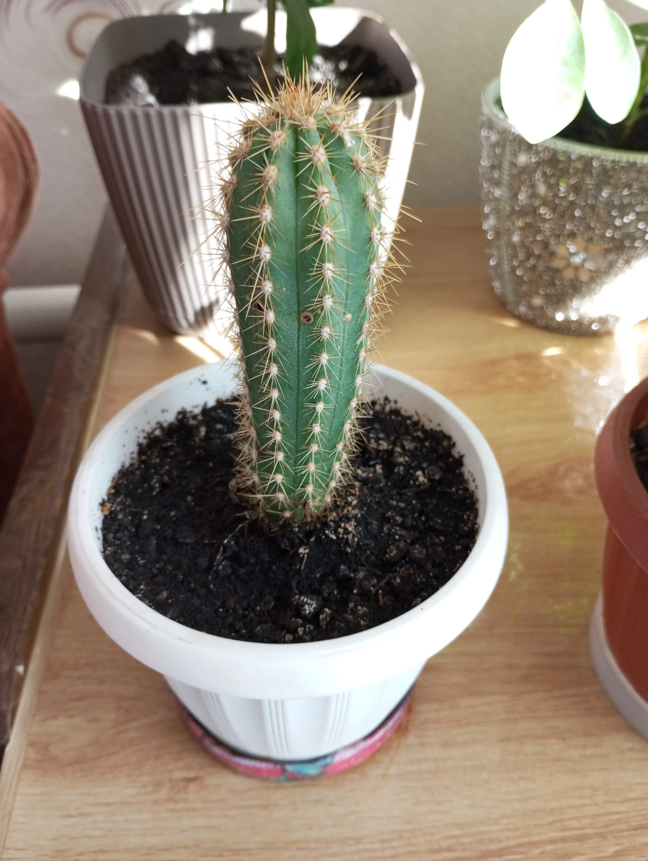 2024-10-17 11-47-01.webp