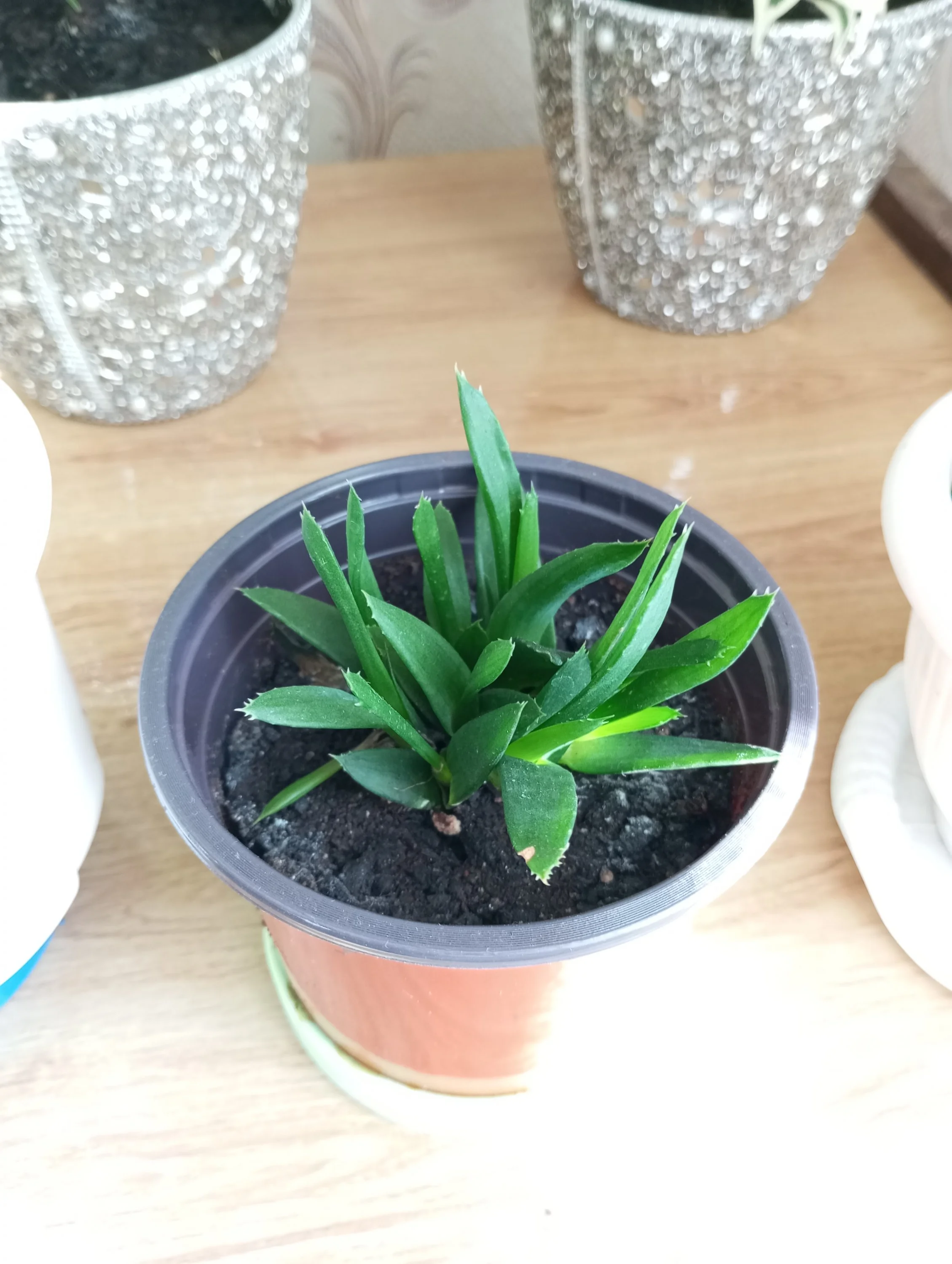 2024-10-17 11-47-11.webp