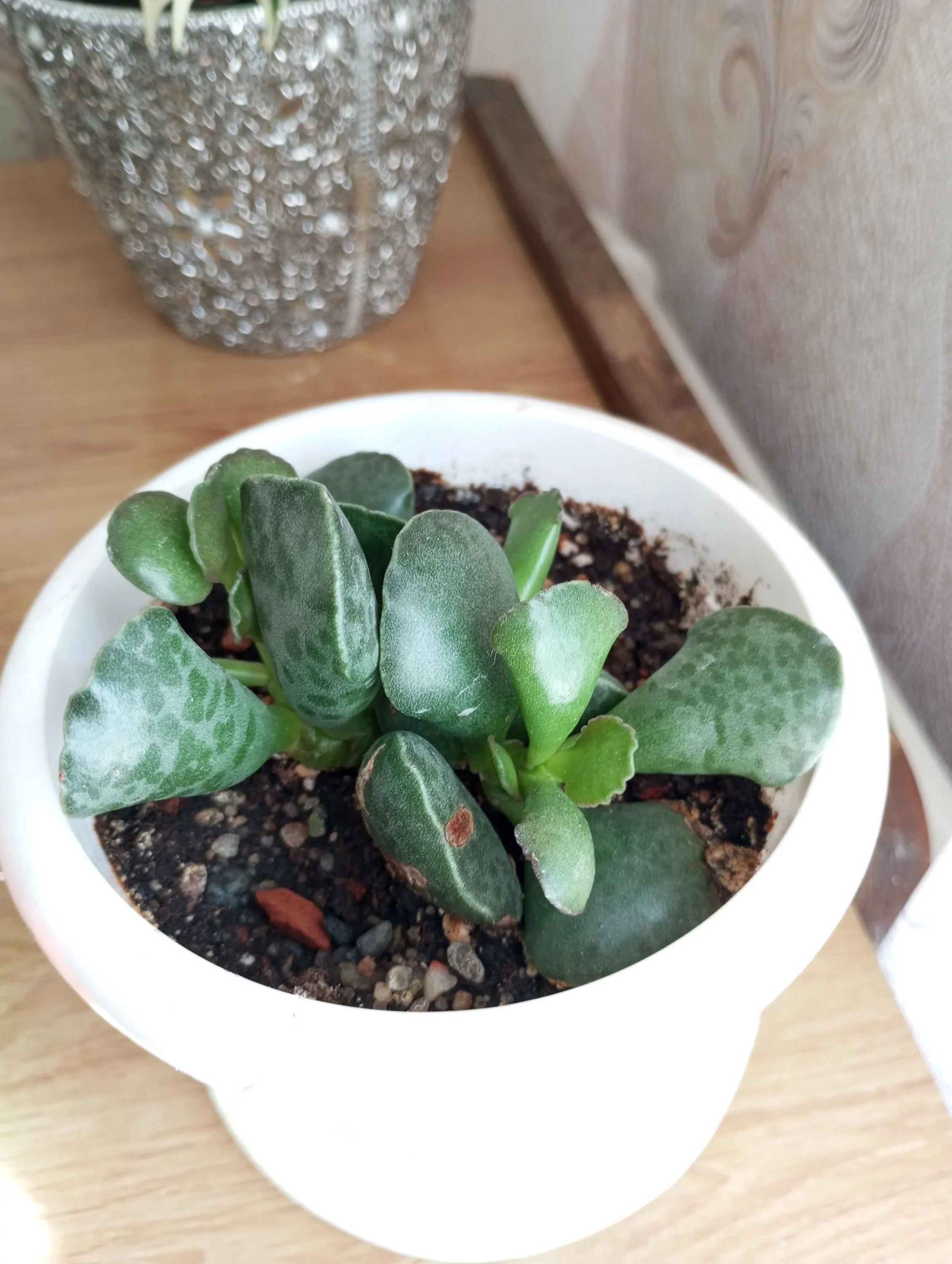 2024-10-17 11-47-14.webp