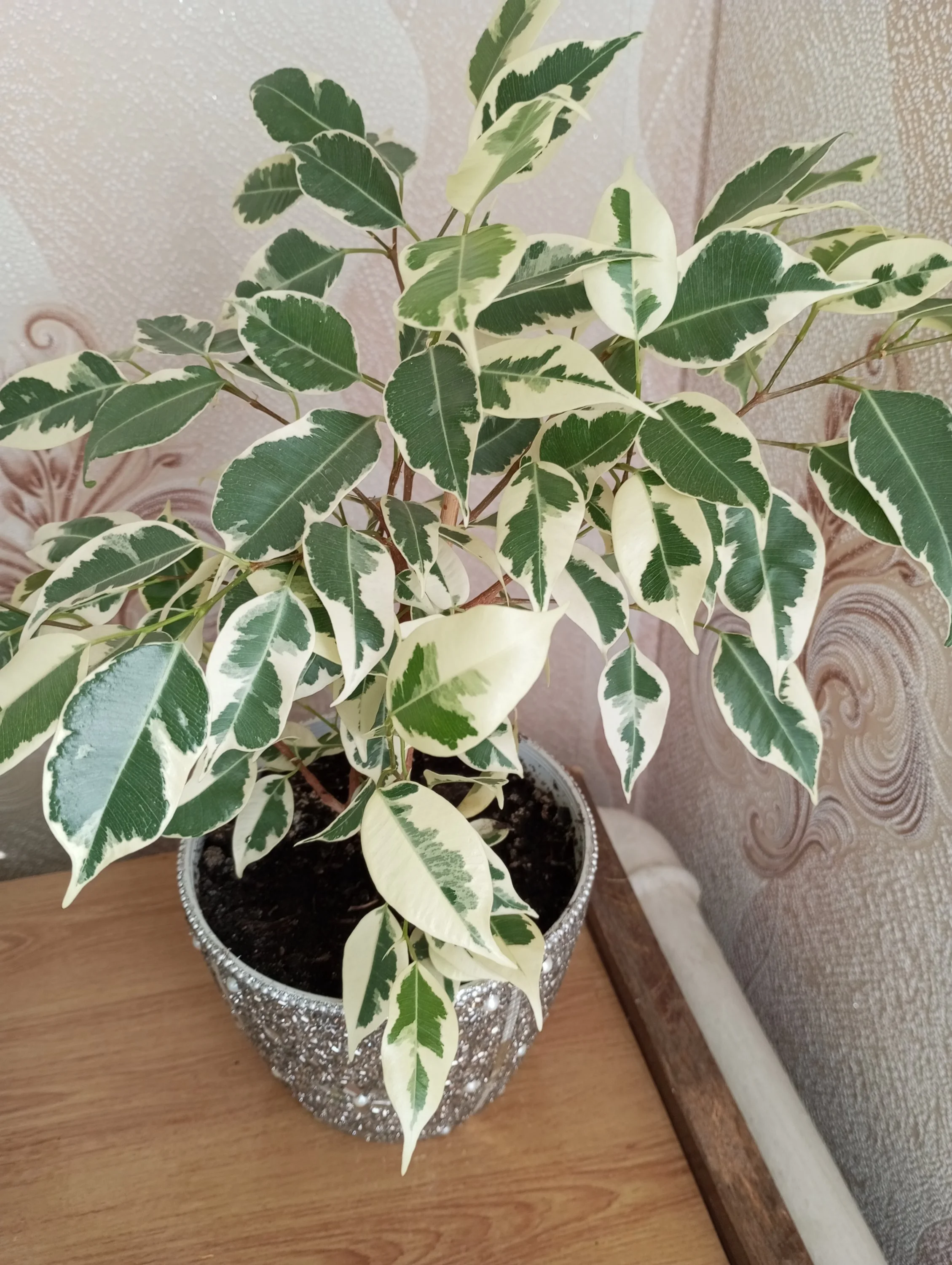 2024-10-17 11-47-20.webp