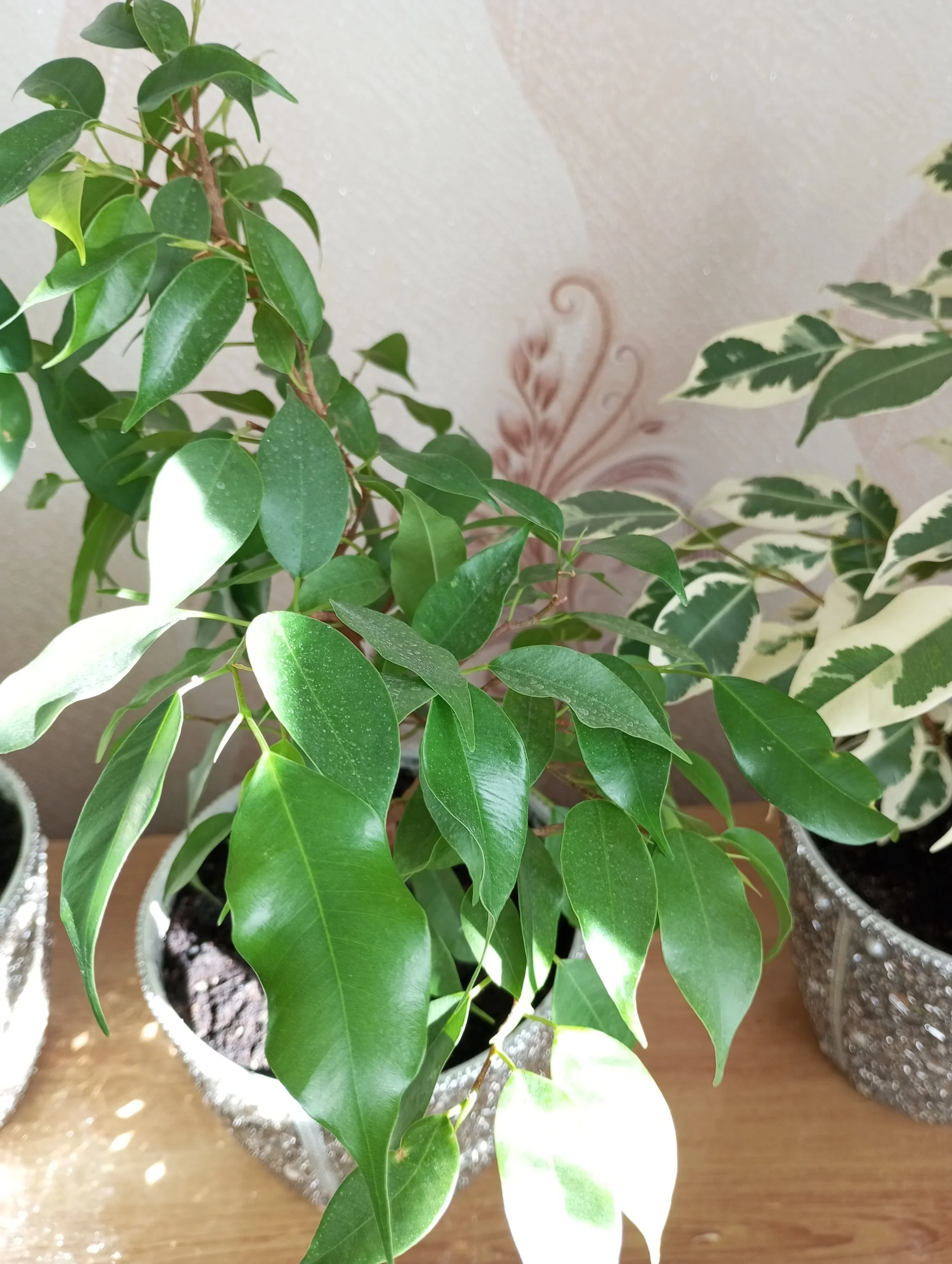 2024-10-17 11-47-24.webp