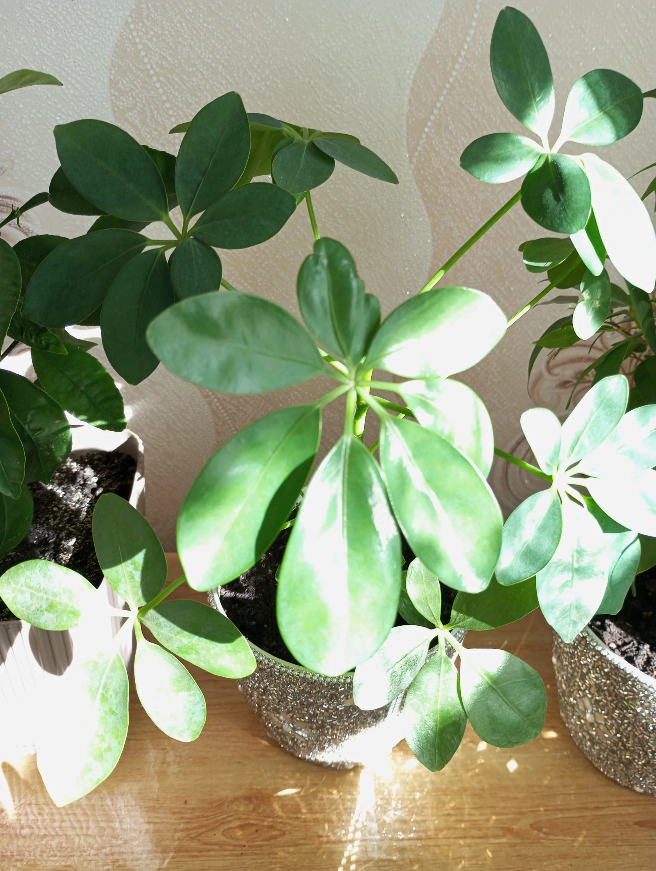 2024-10-17 11-47-31.webp