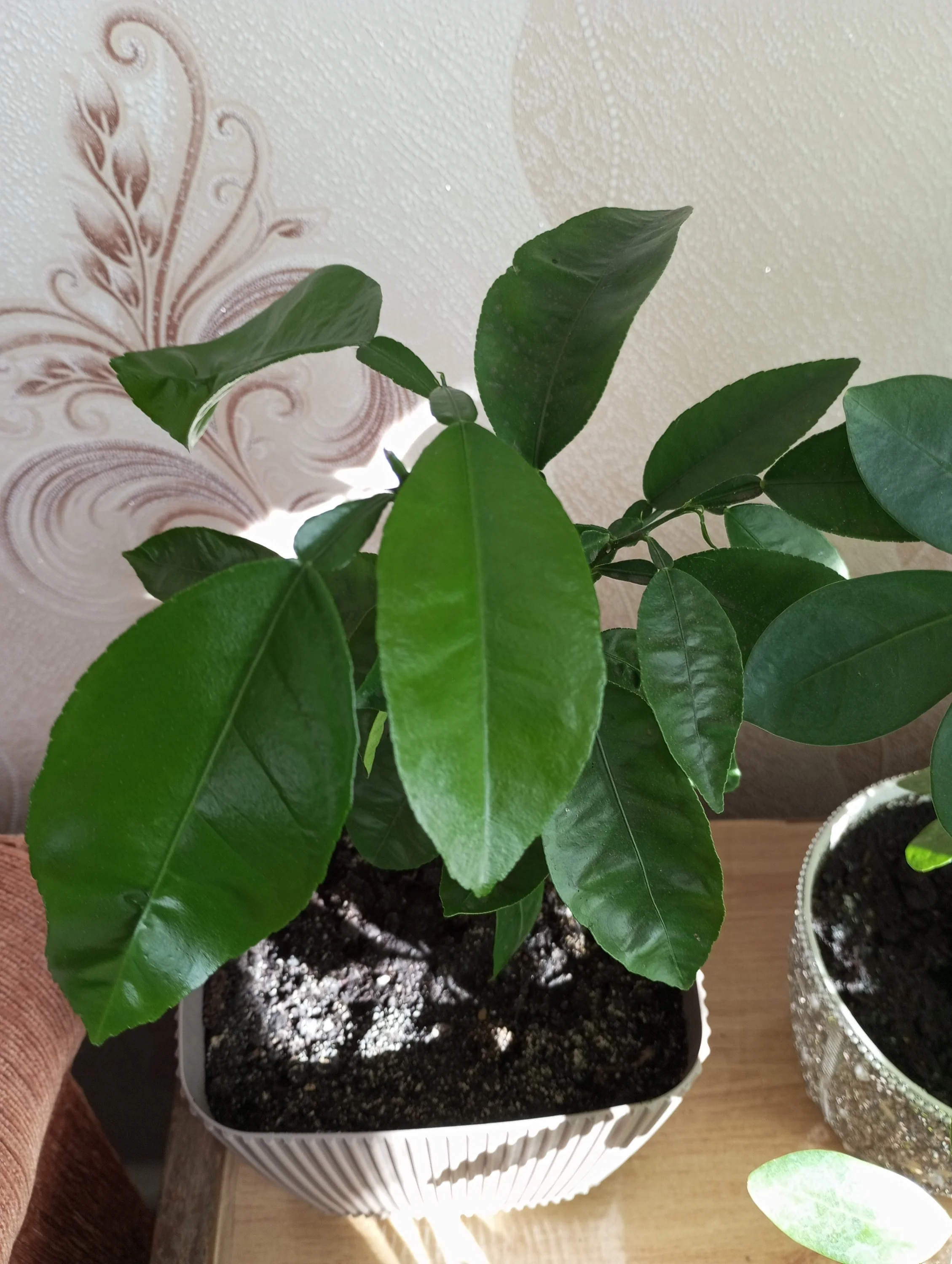 2024-10-17 11-47-38.webp