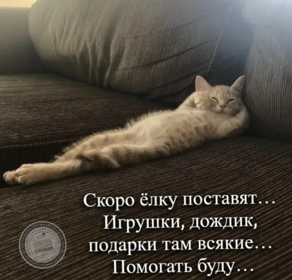 2024-11-12_091929_Скоро ёлку поставят.webp