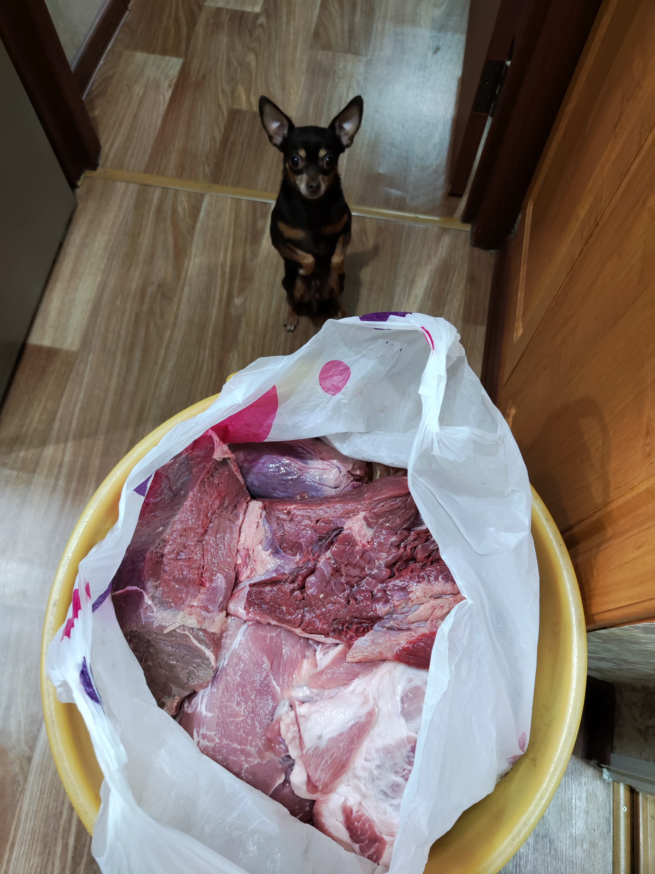 2024-12-02 17-21-35.webp