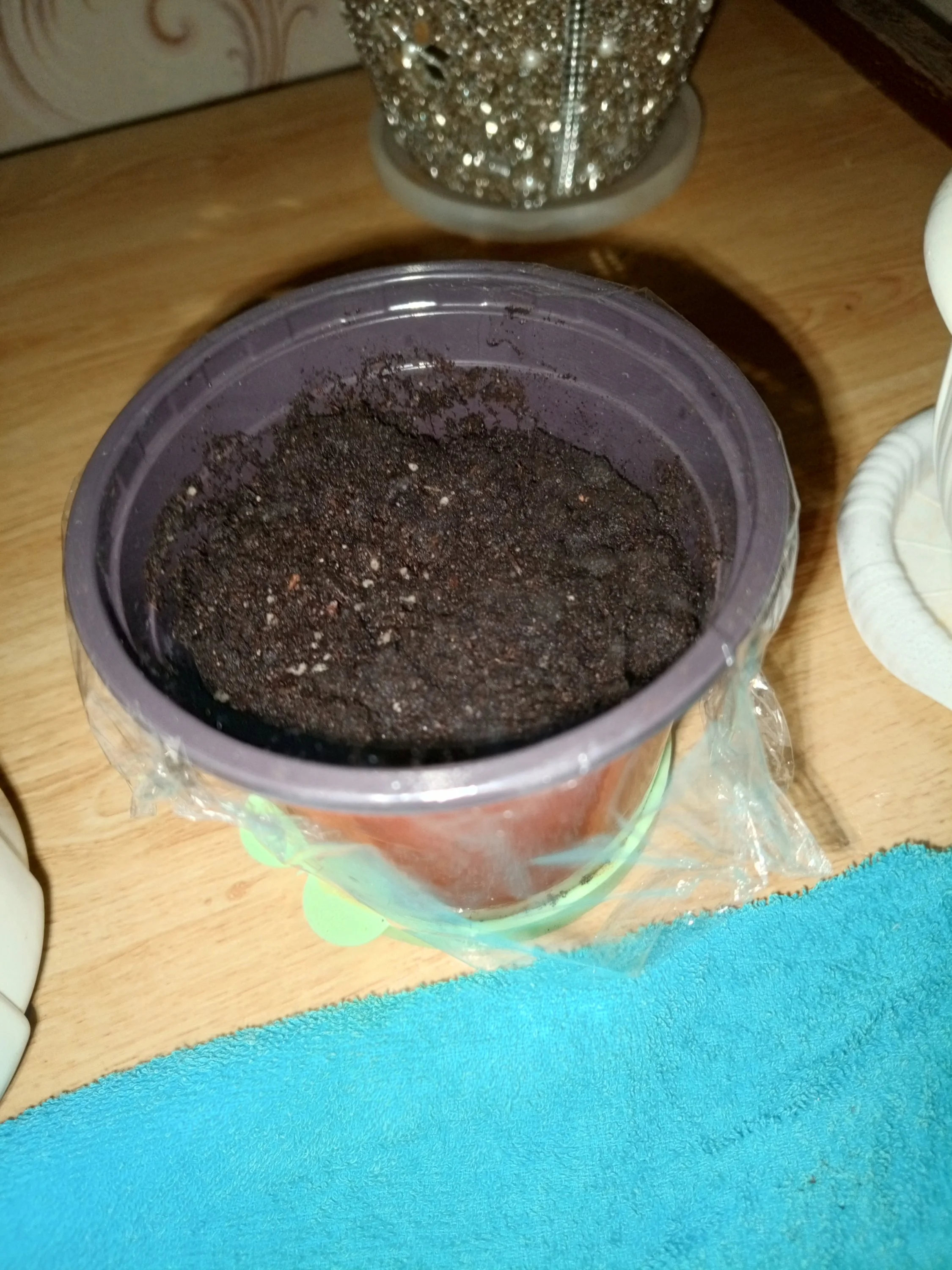 2024-12-25 05-46-09.webp