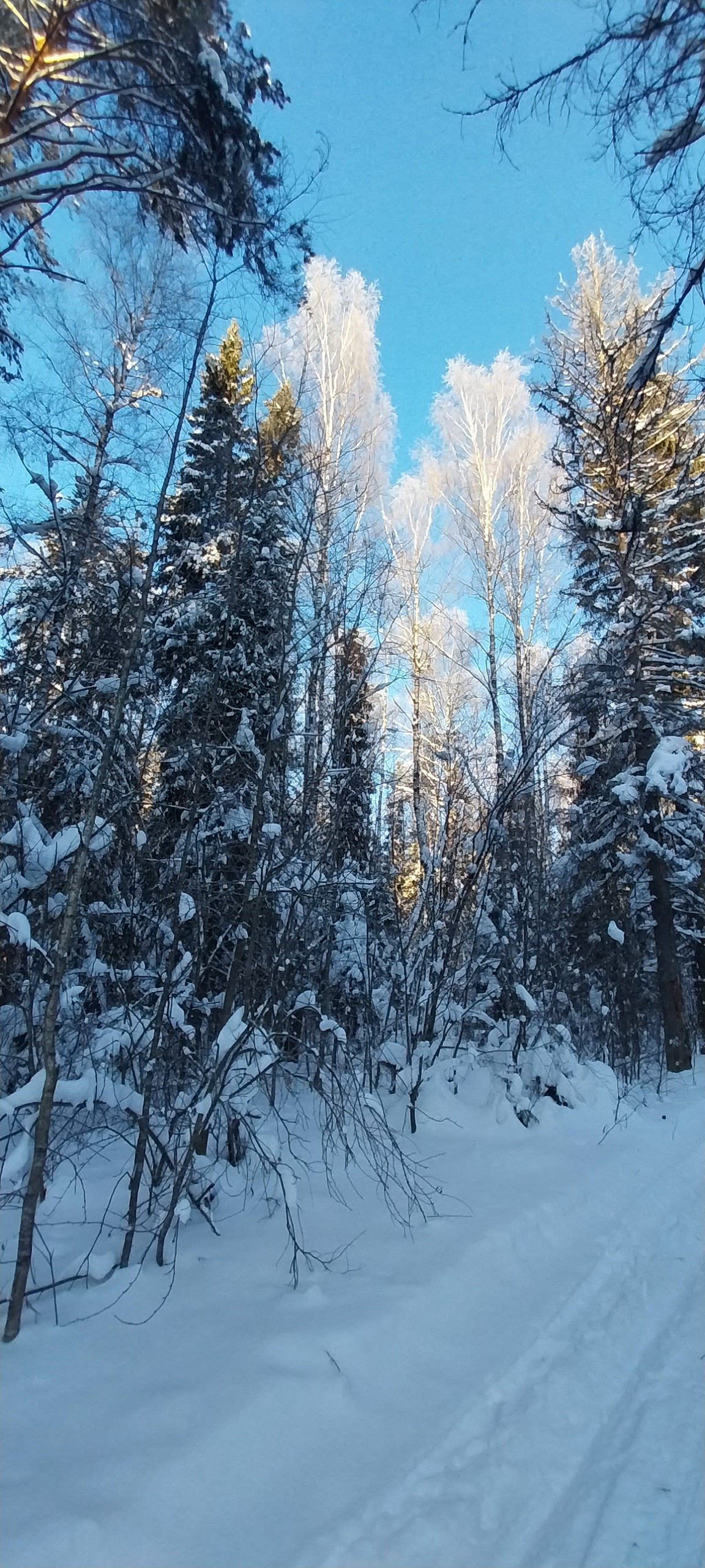 20240121_095707.jpg