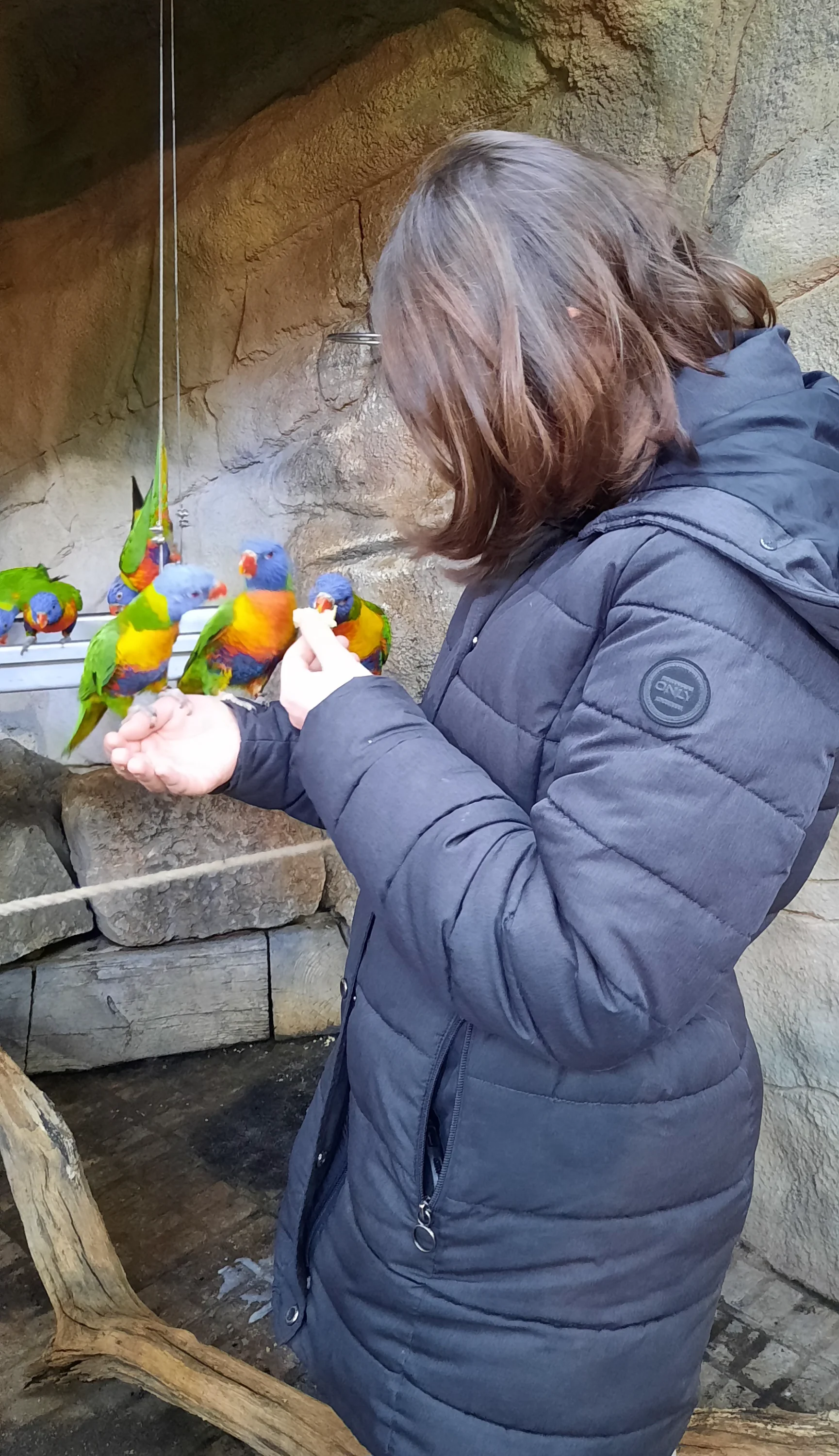 20240224_161759.webp