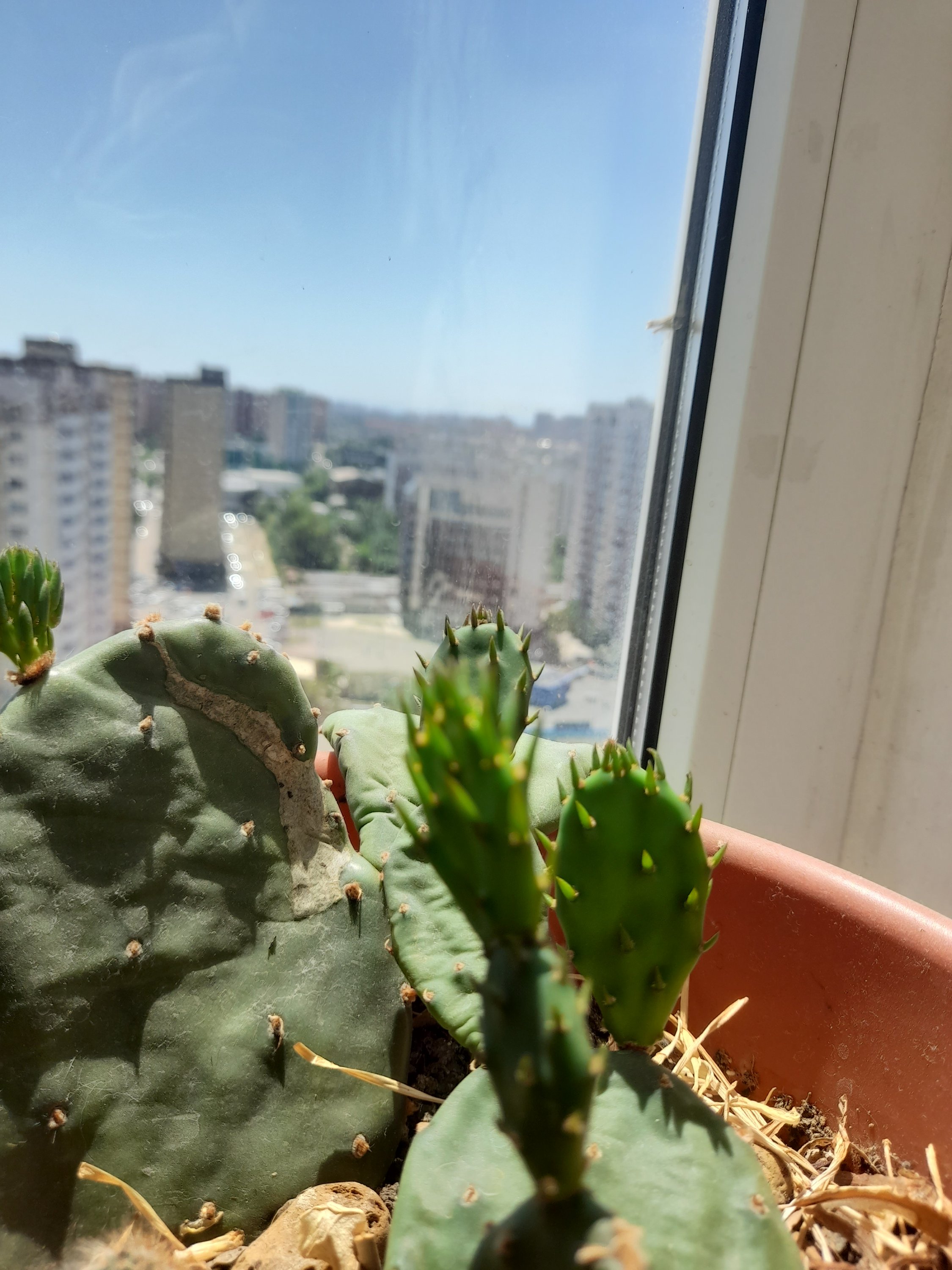 20240605_120442.jpg