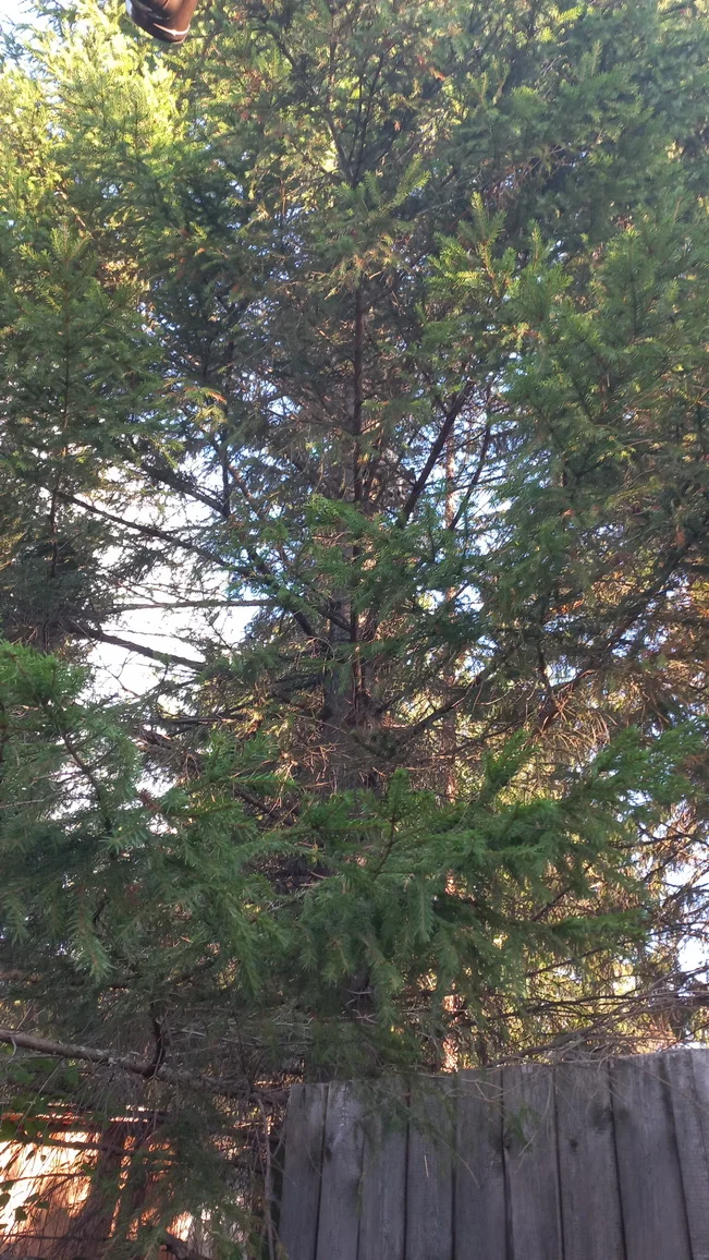 20240828_184057 1.jpg