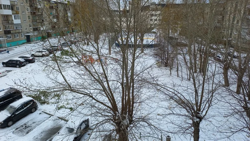 20241011_084105 _800.webp