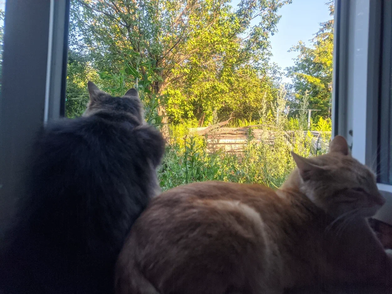 2025-07-08 19-22-37.webp