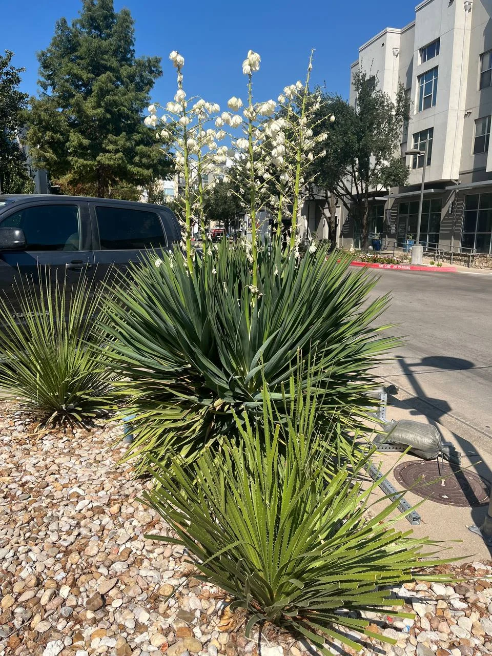 2025-10-03 11.55.01.webp