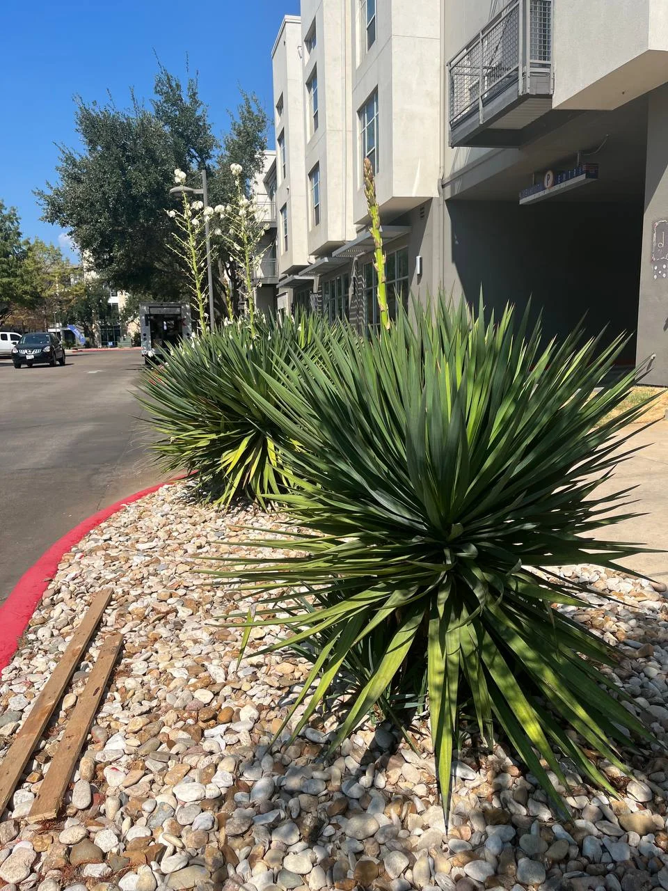 2025-10-03 11.55.08.webp