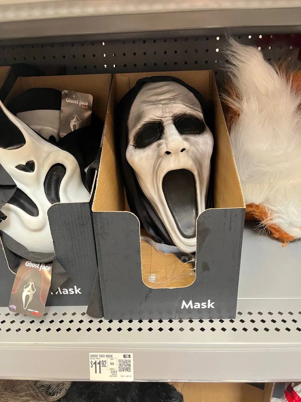 2025-10-05 10.46.40.webp