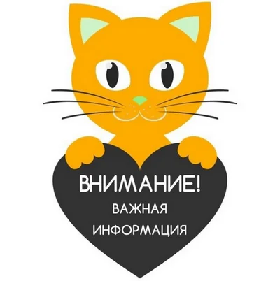 2025-10-05_091830_Внимание_важная информация.webp