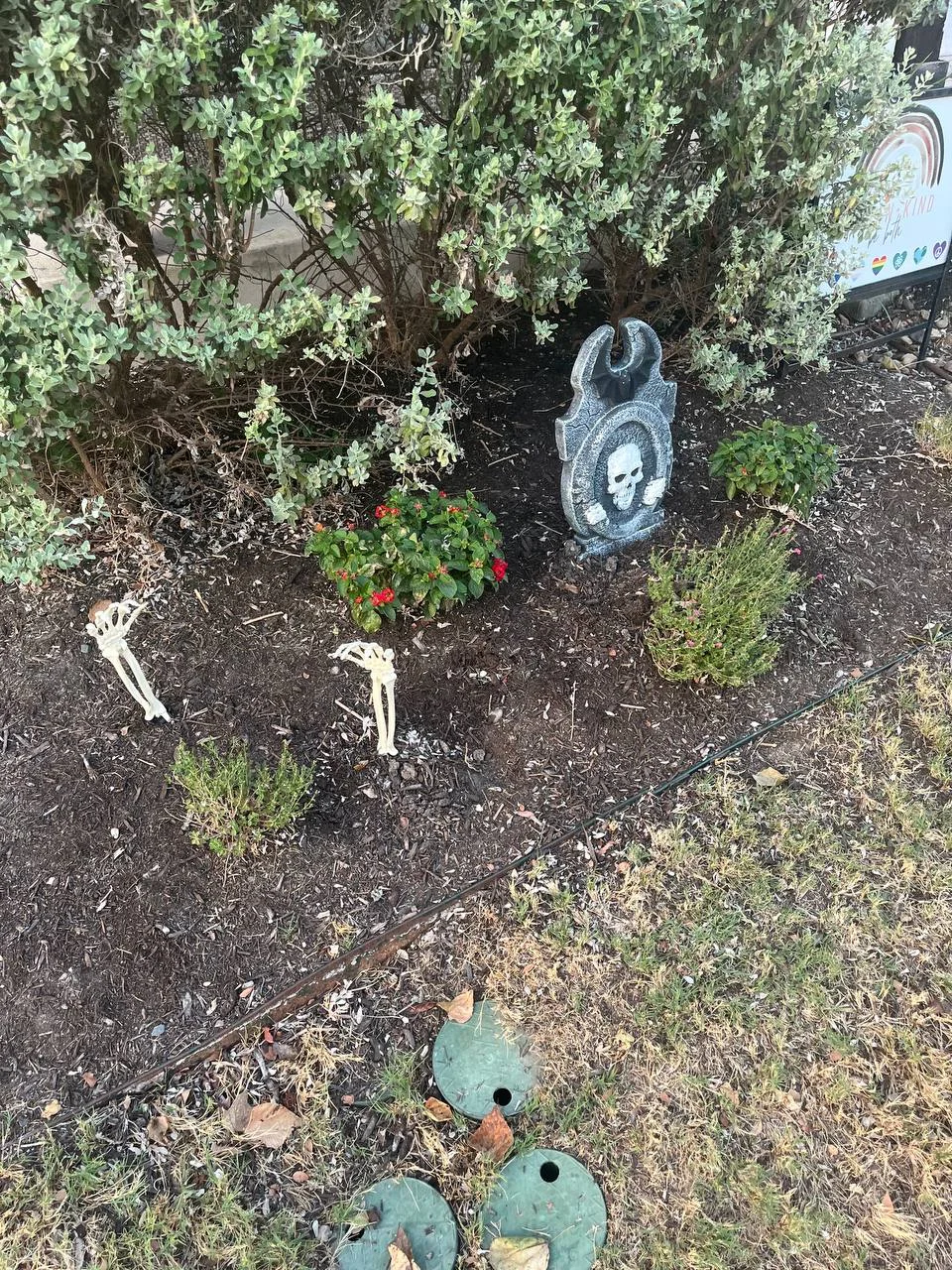 2025-10-06 20.43.29.webp