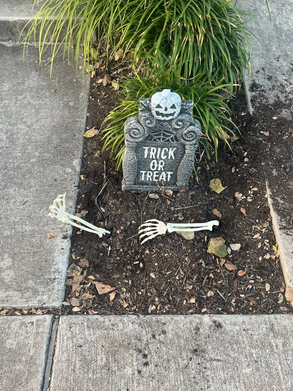 2025-10-06 20.43.34.webp